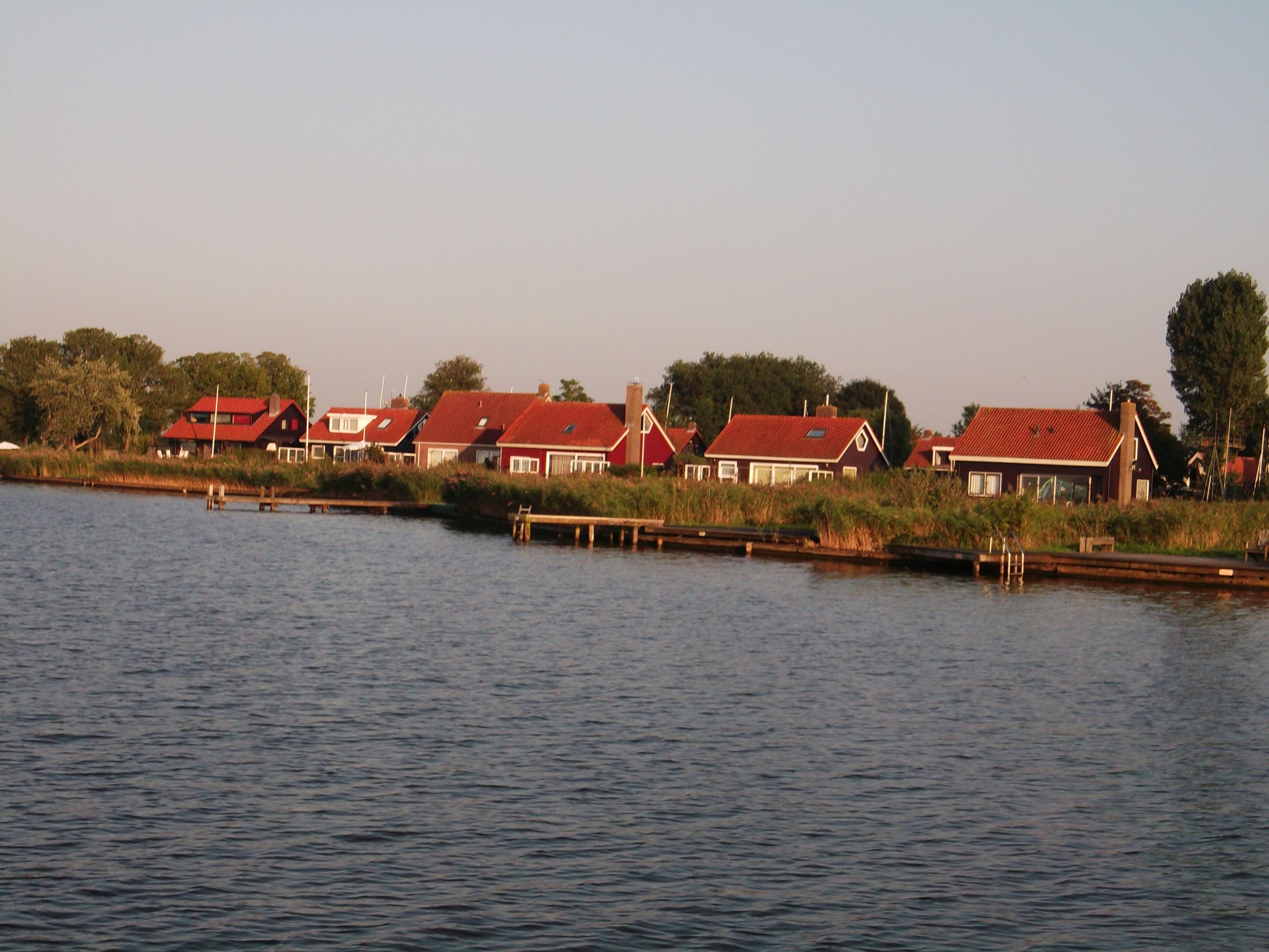 - image: 1