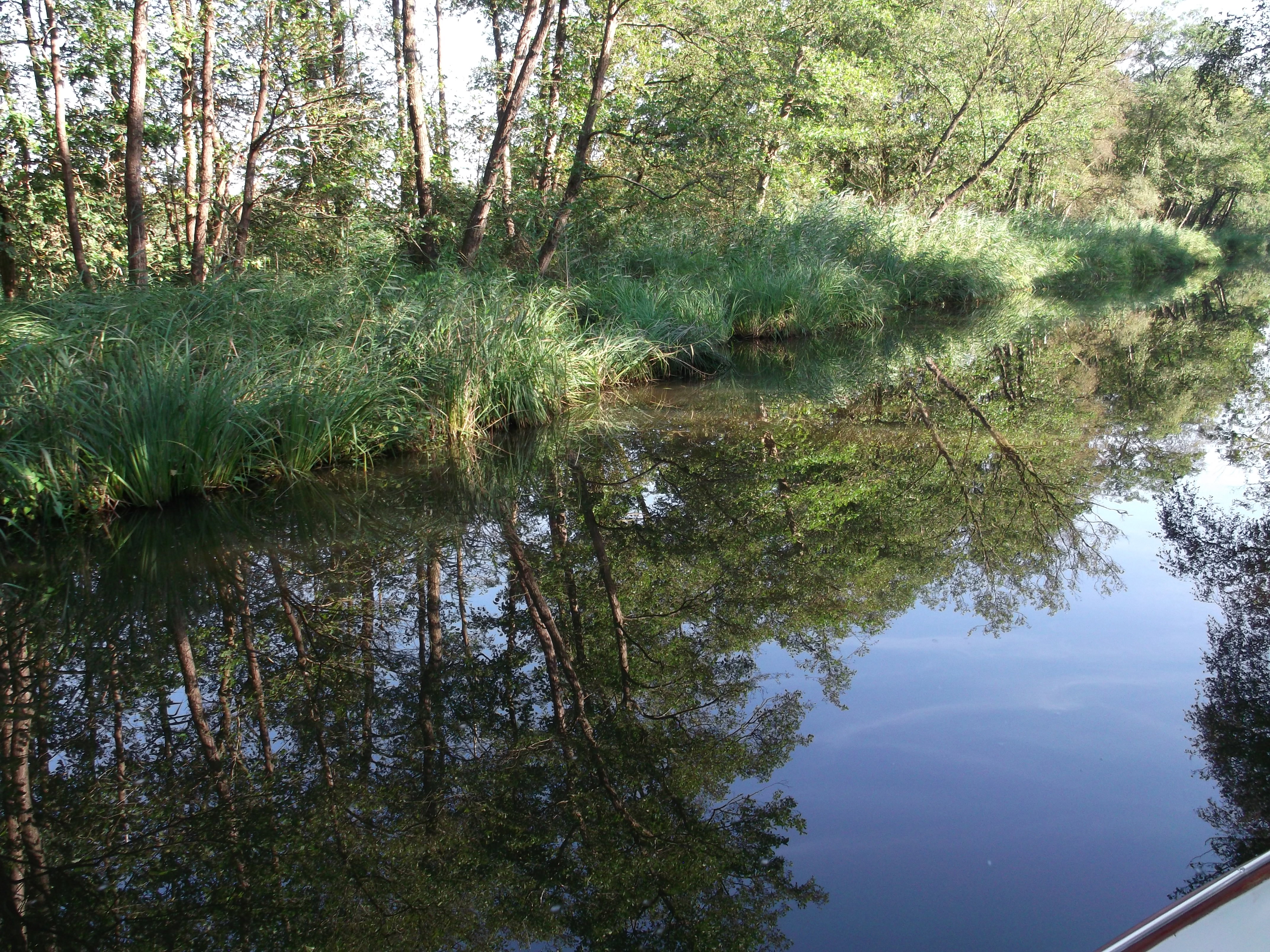 - image: 11