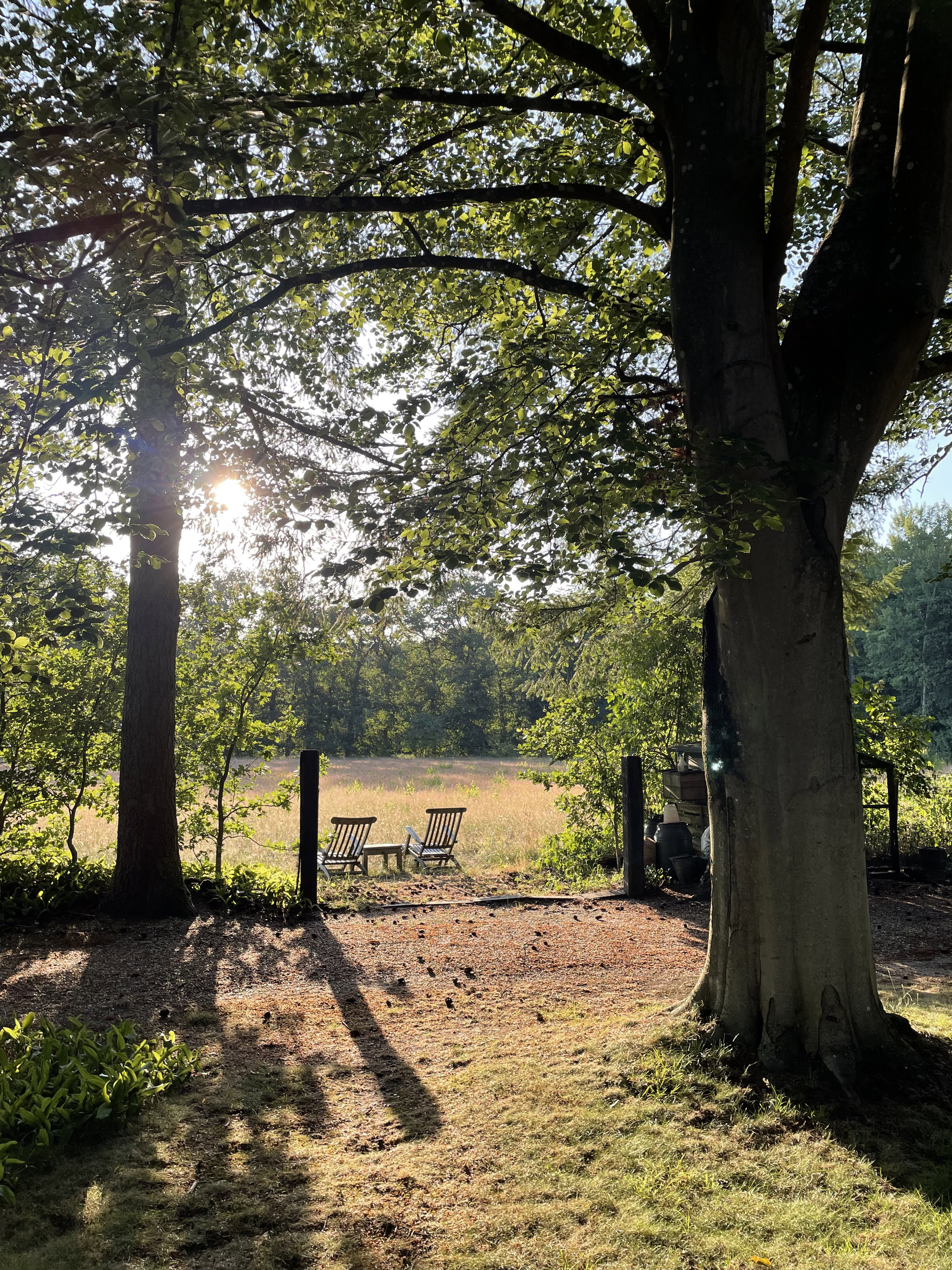 Natuurhuisje in Vaassen