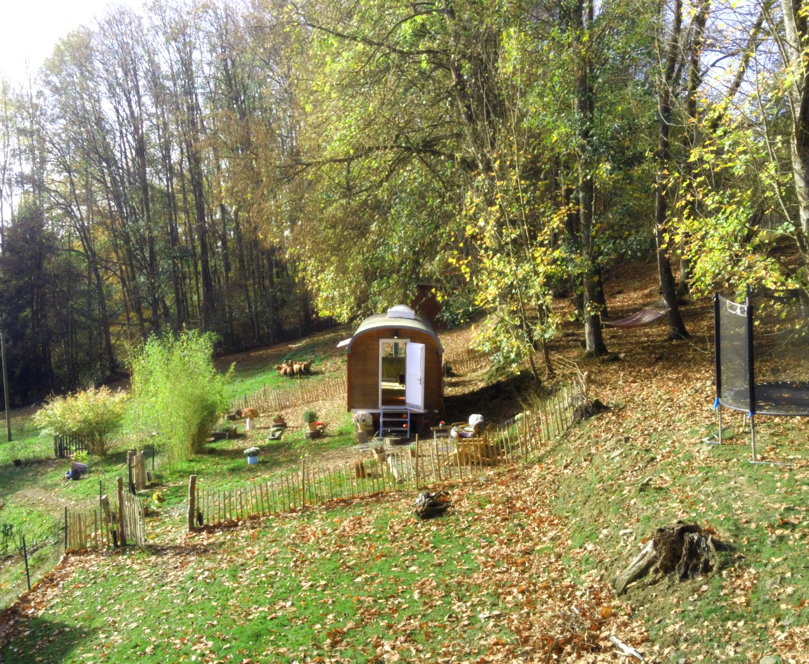 Natuurhuisje in Windeck