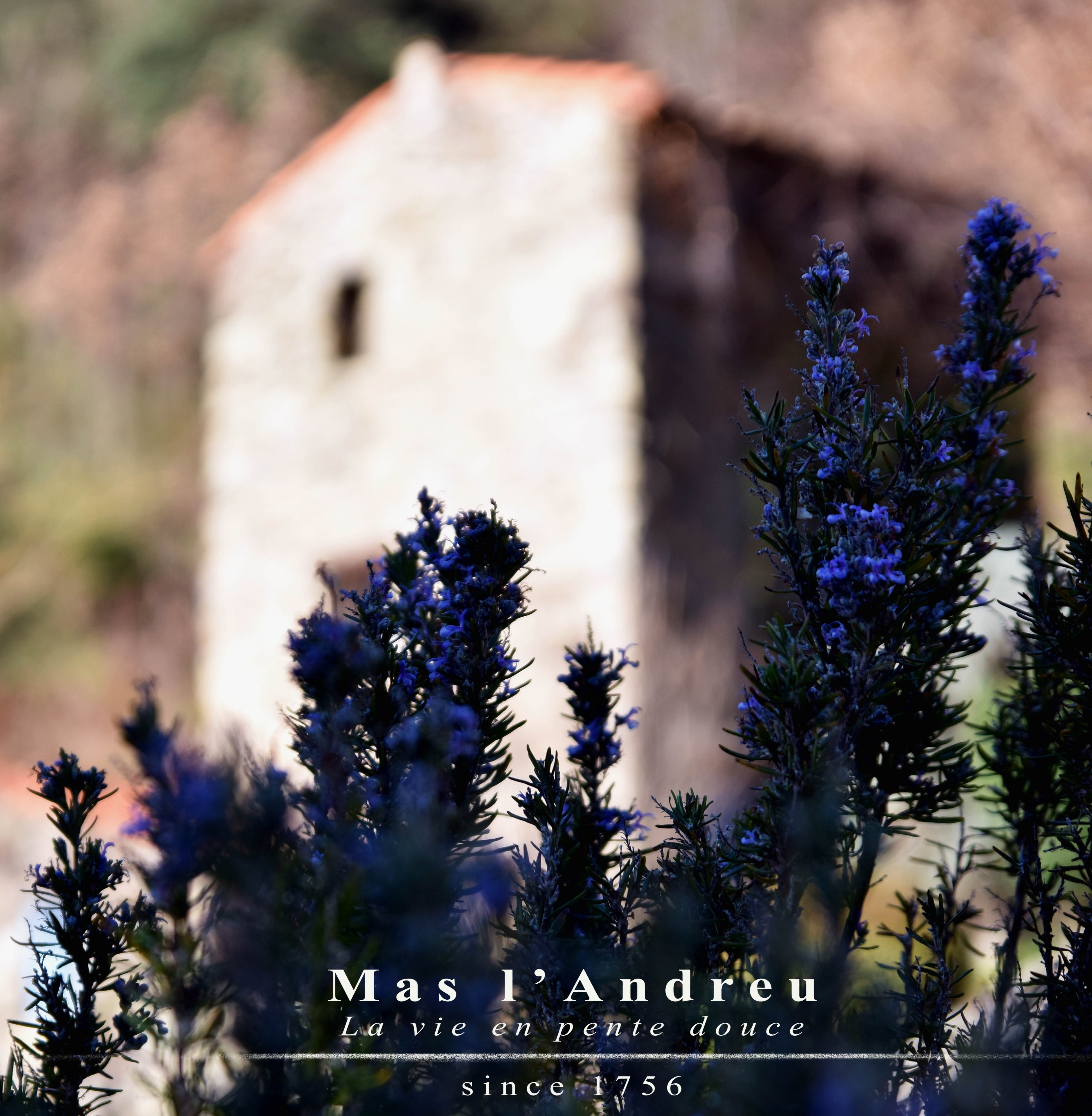 Casa nella natura a Corsavy