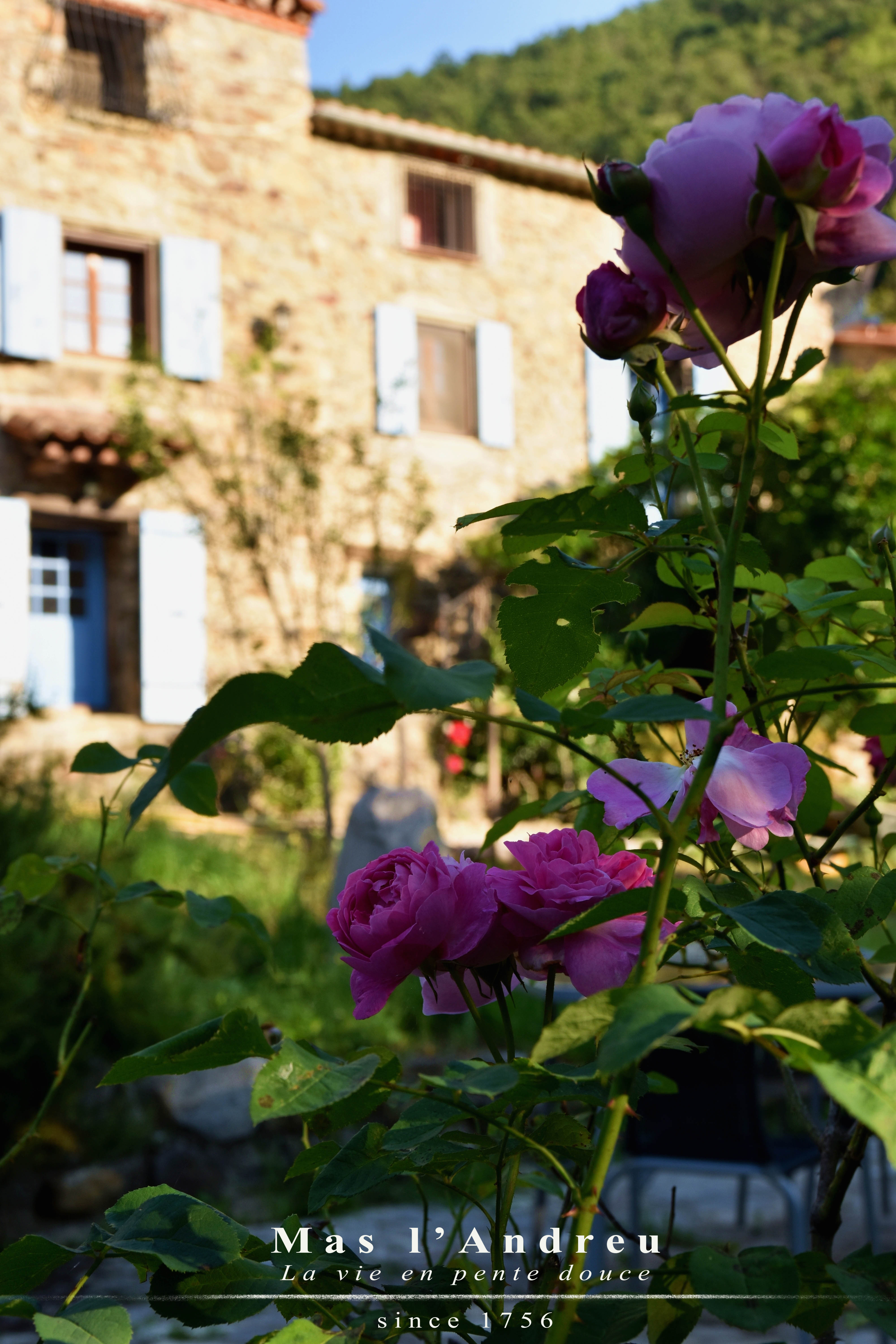 Casa nella natura a Corsavy
