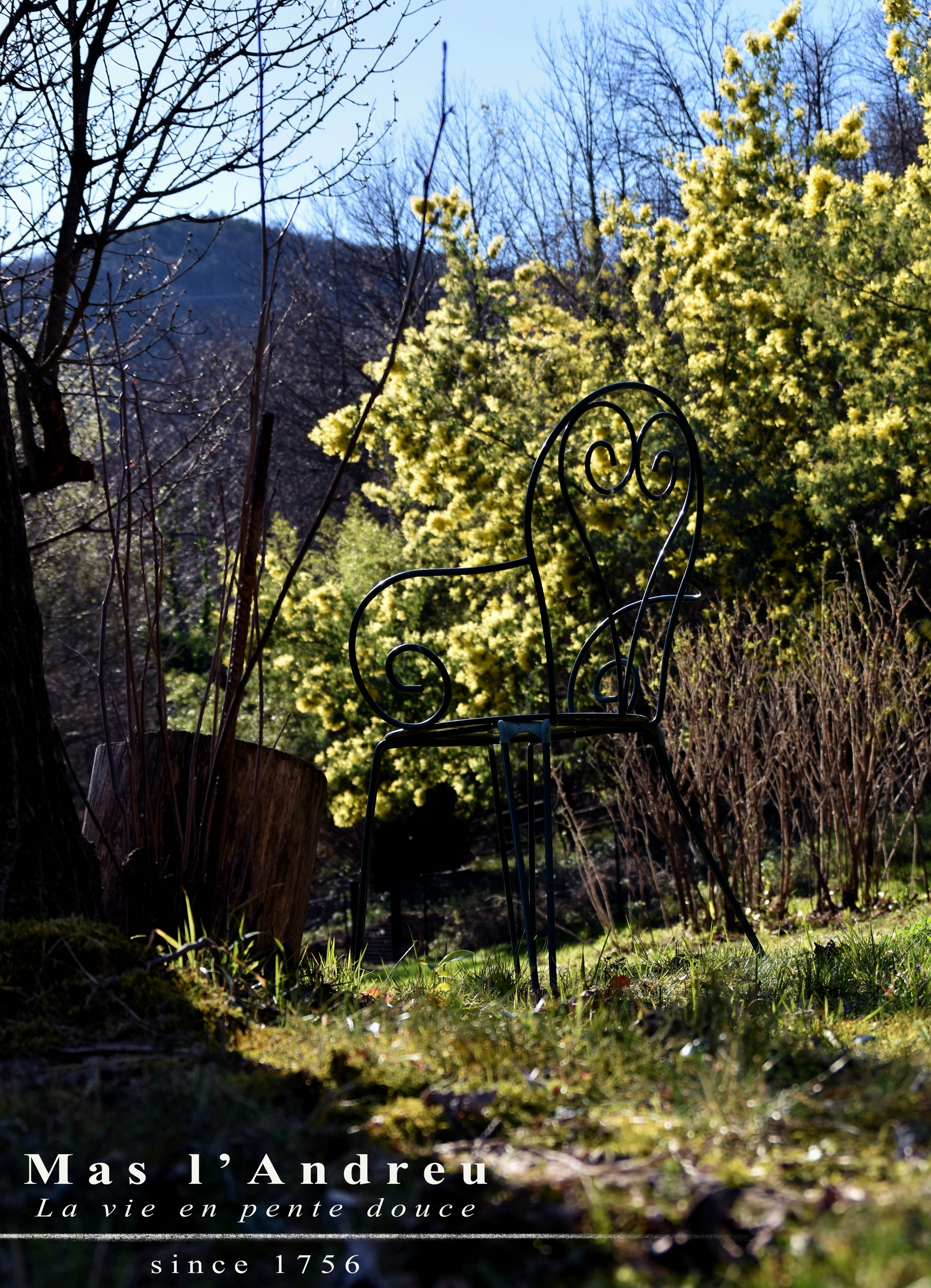 - image: 16