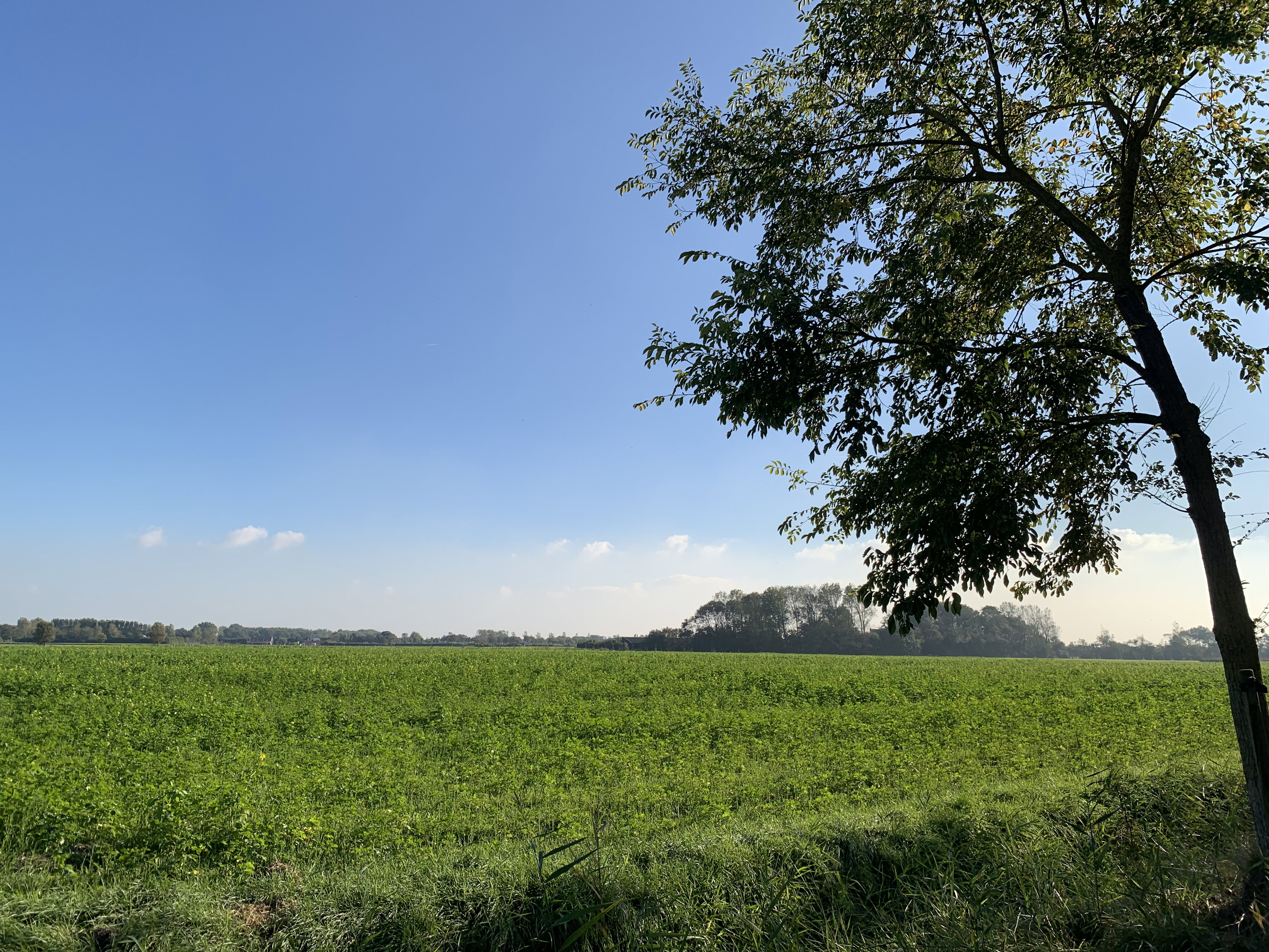 Naturhäuschen in Domburg