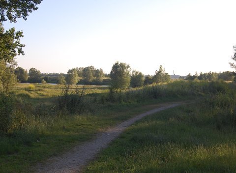 - image: 56