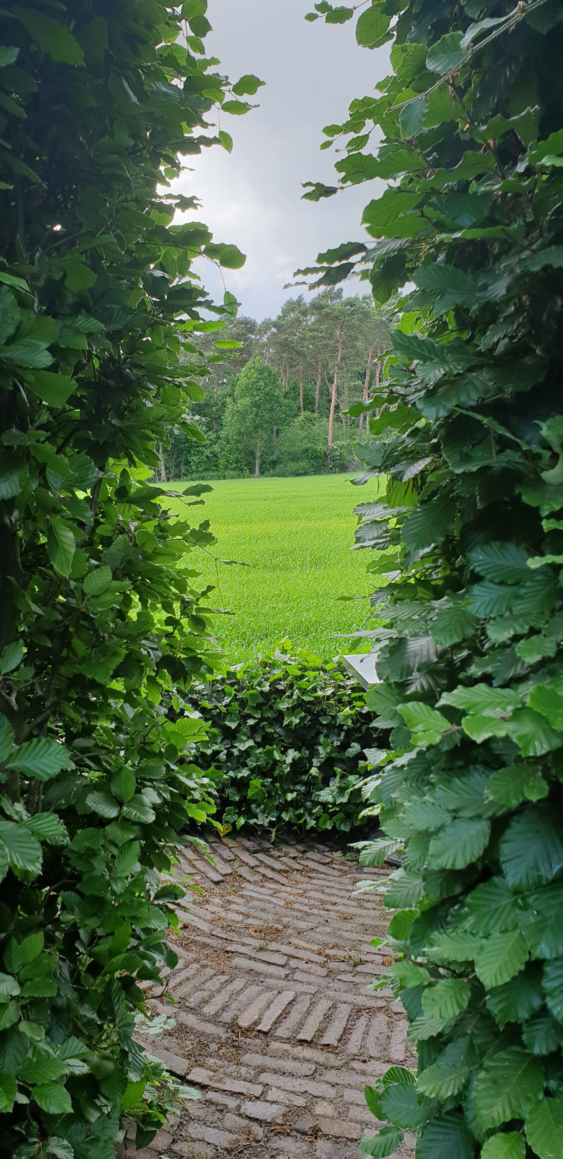 Casa nella natura a Holten