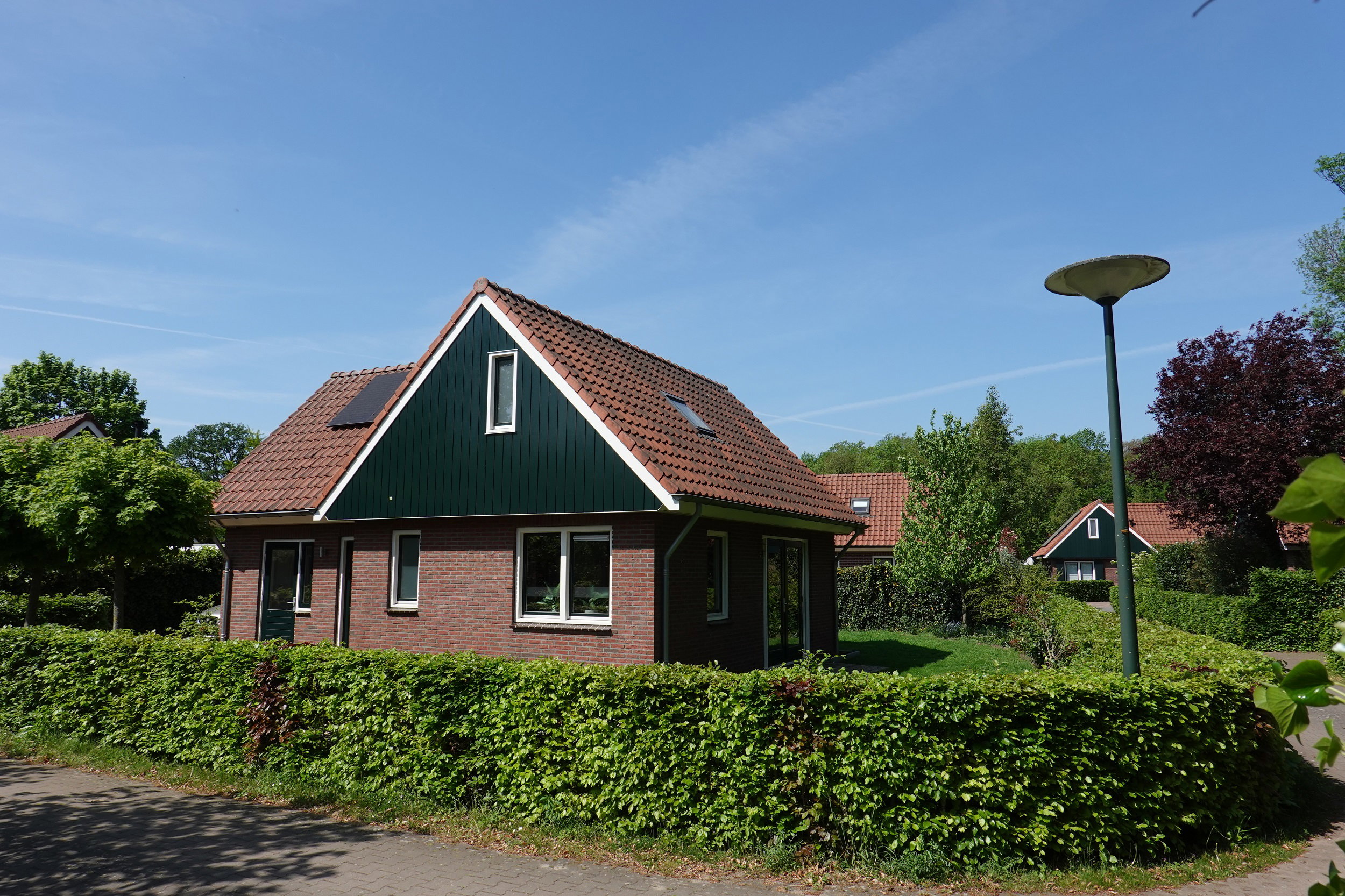 - image: 24