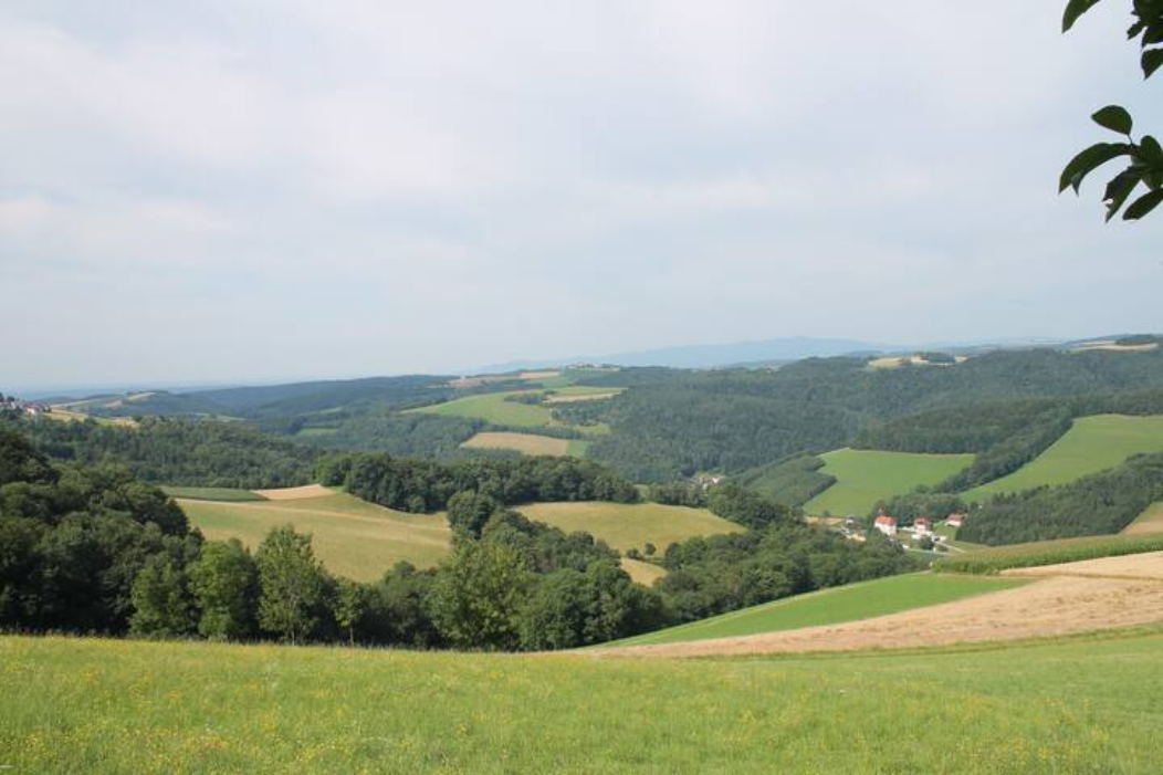 Naturhäuschen in Hochneukirchen