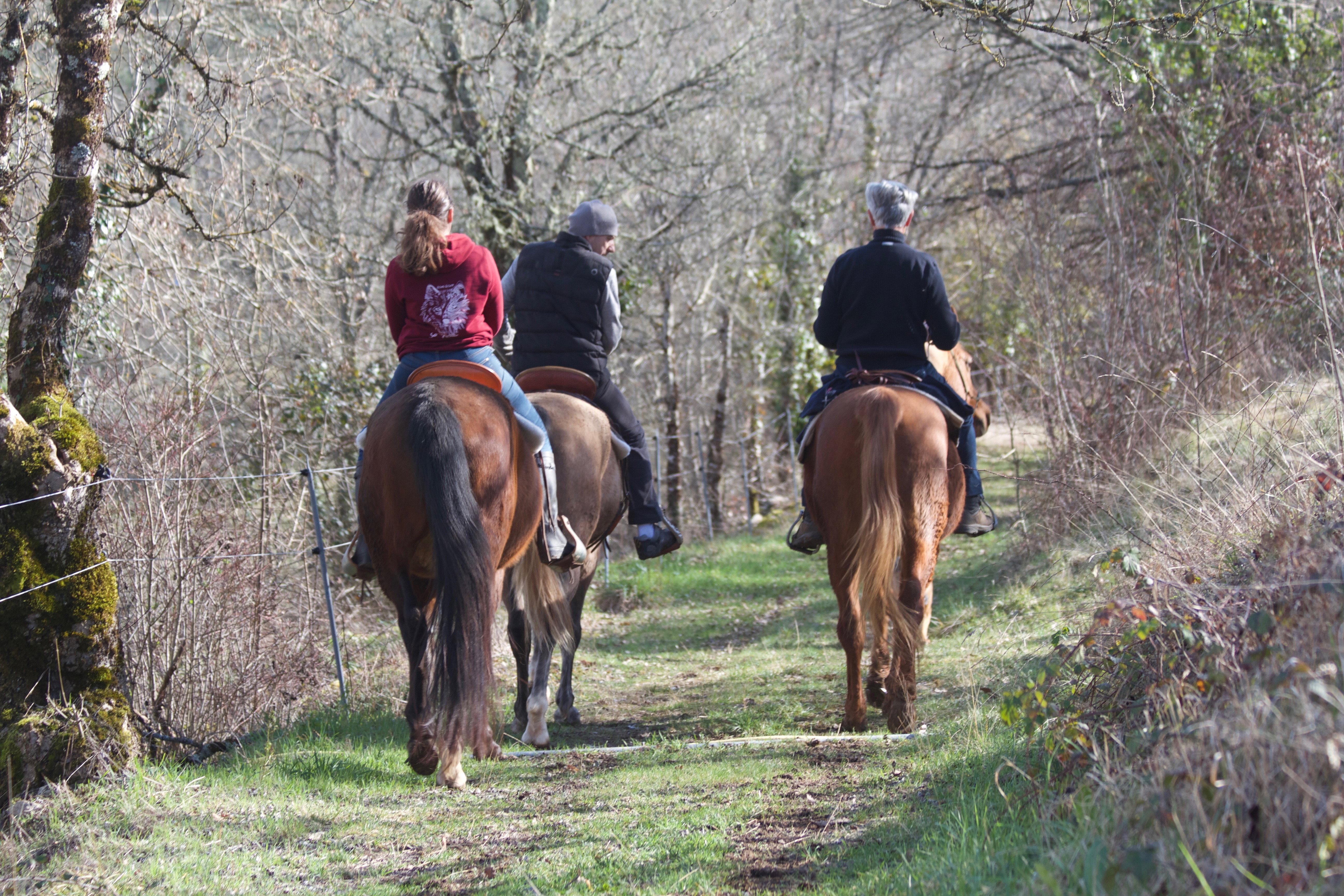 Natuurhuisje in THEZAC