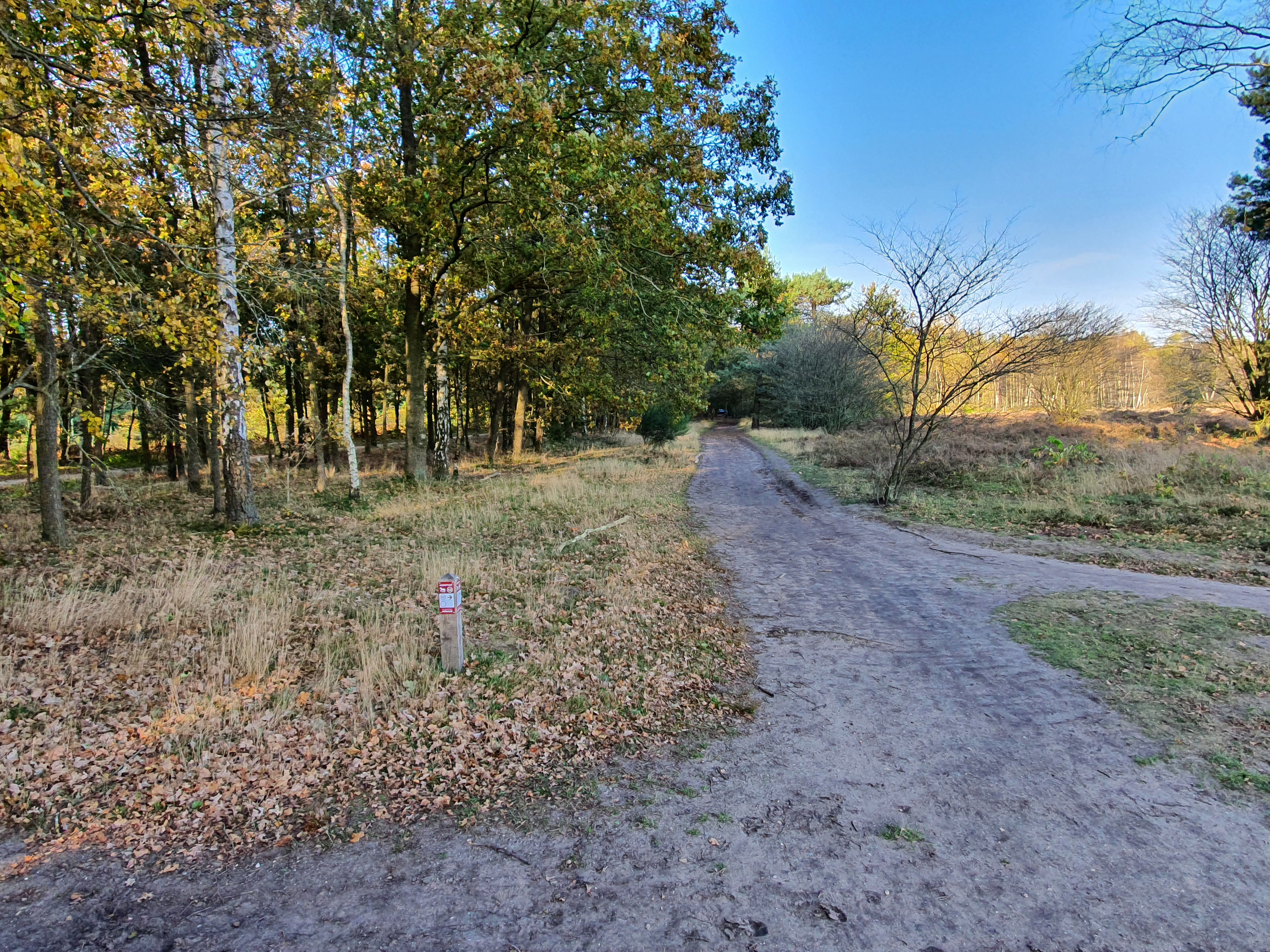 - image: 38