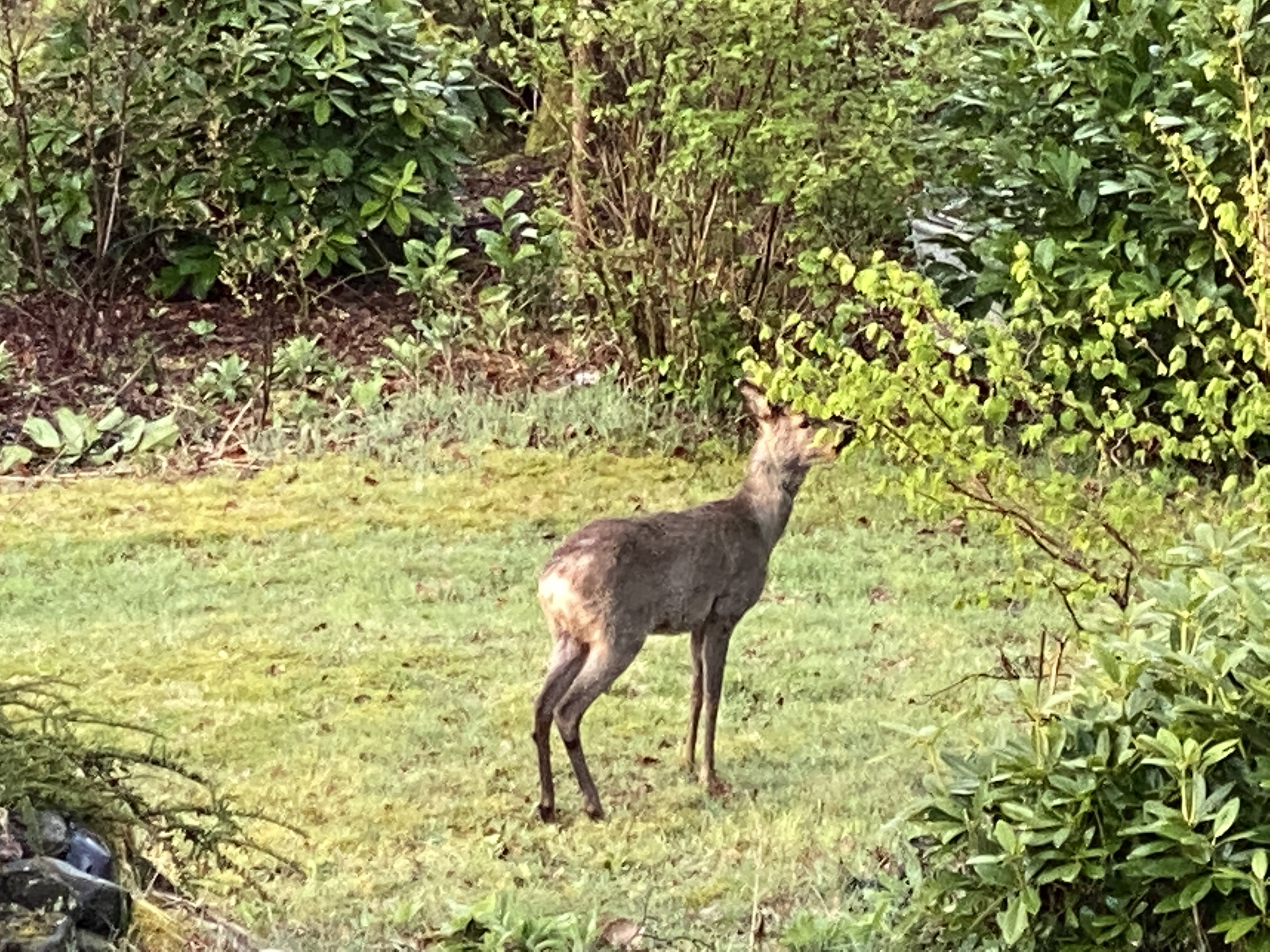 Natuurhuisje in Holten