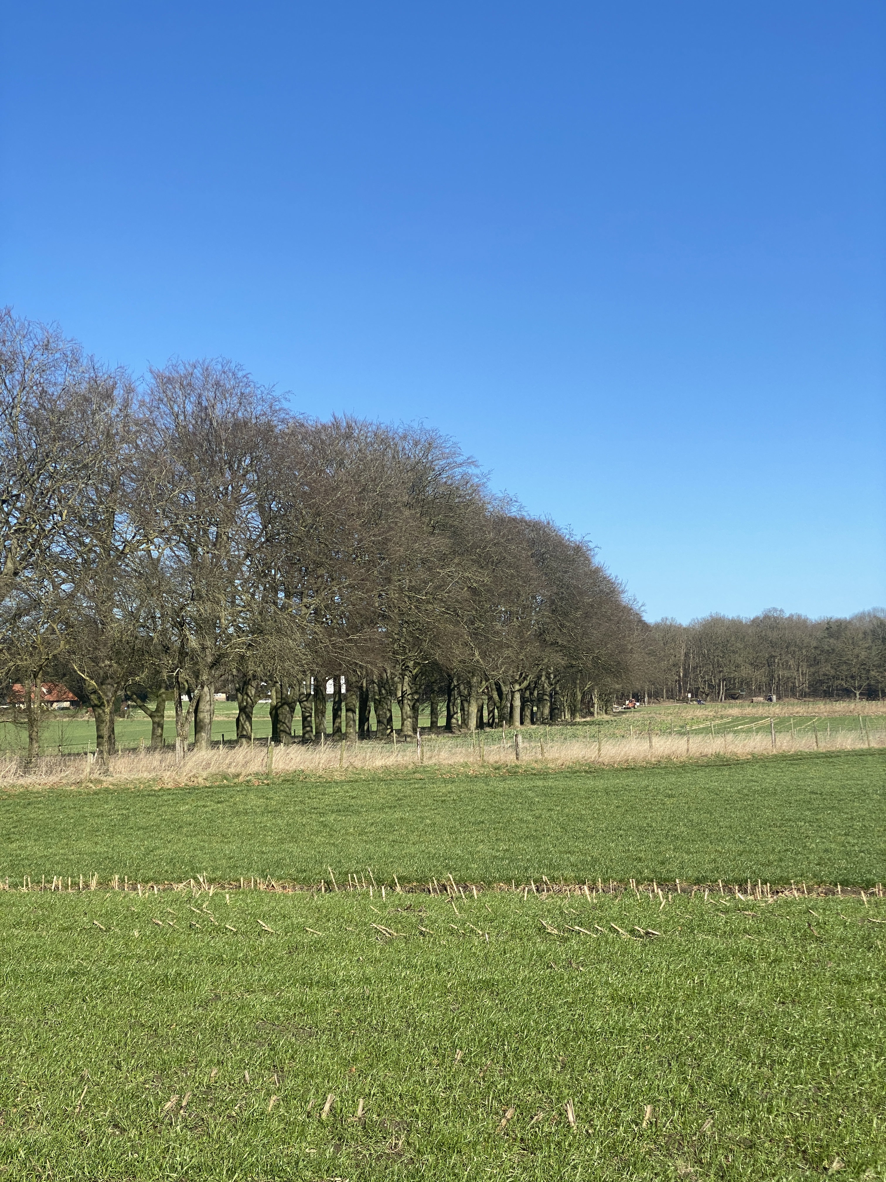 Natuurhuisje in Holten