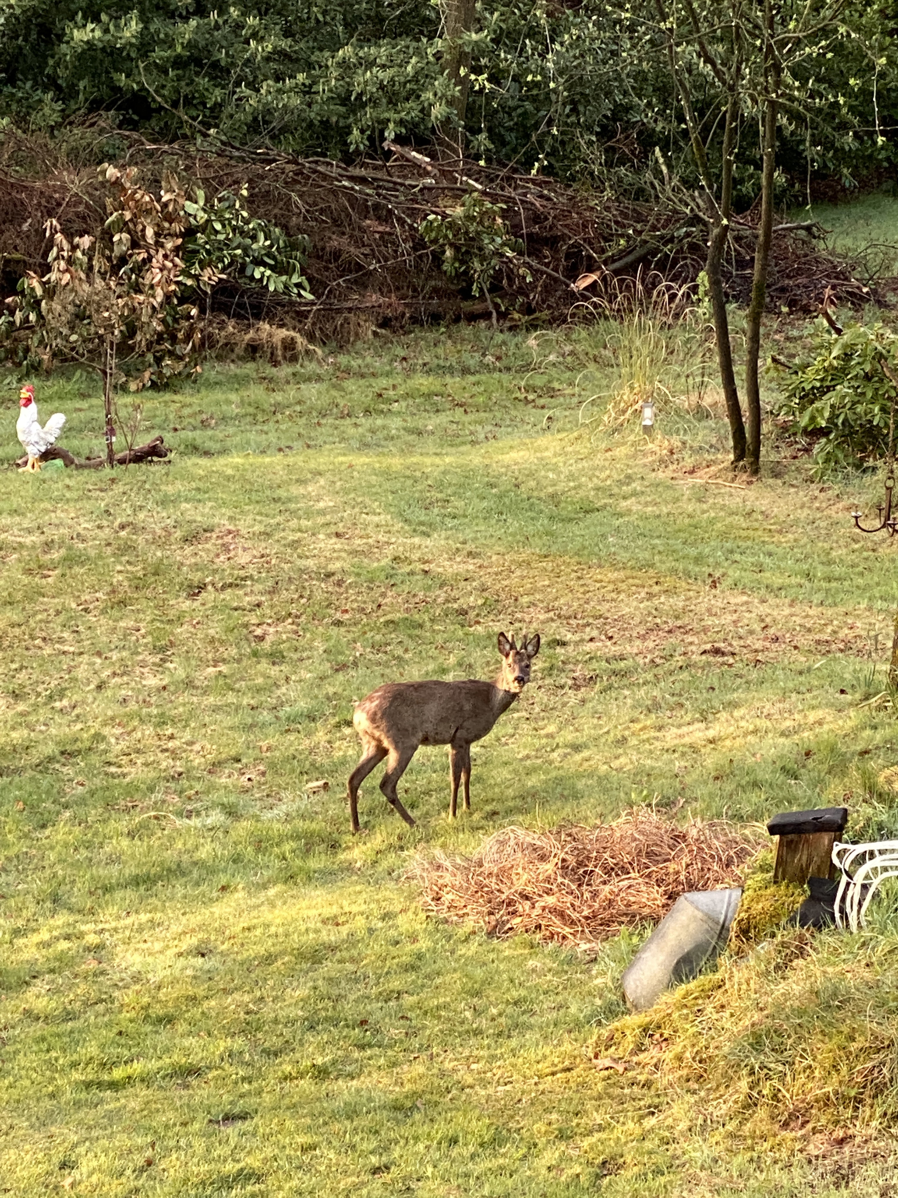 Natuurhuisje in Holten