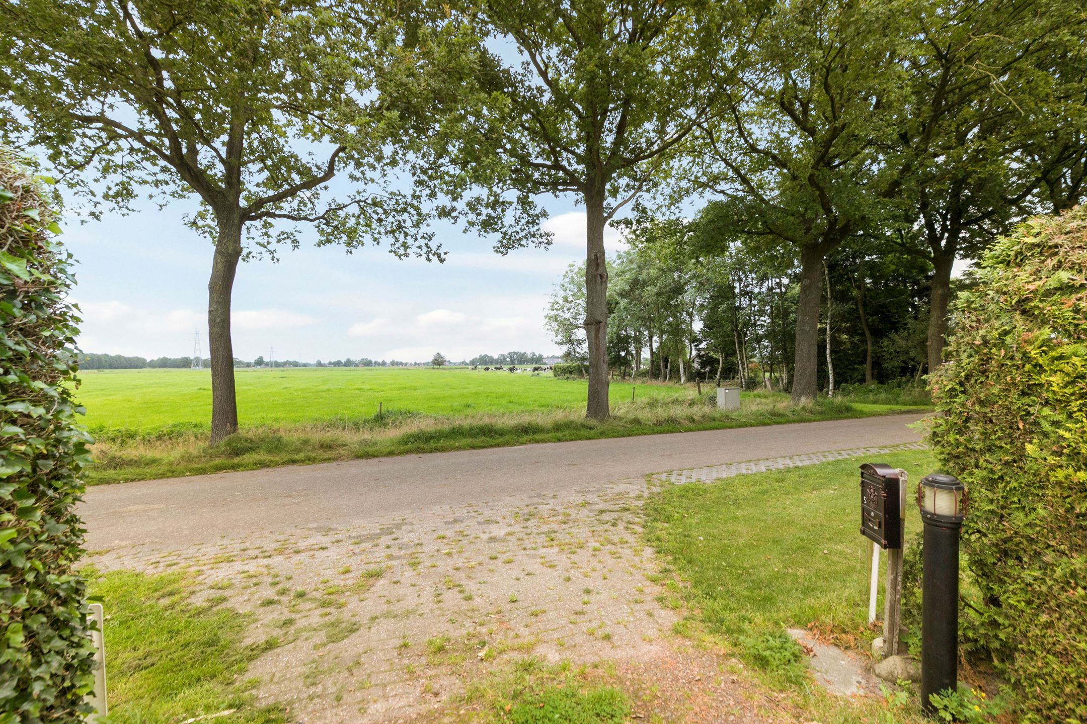 Naturhäuschen in Wijnjewoude