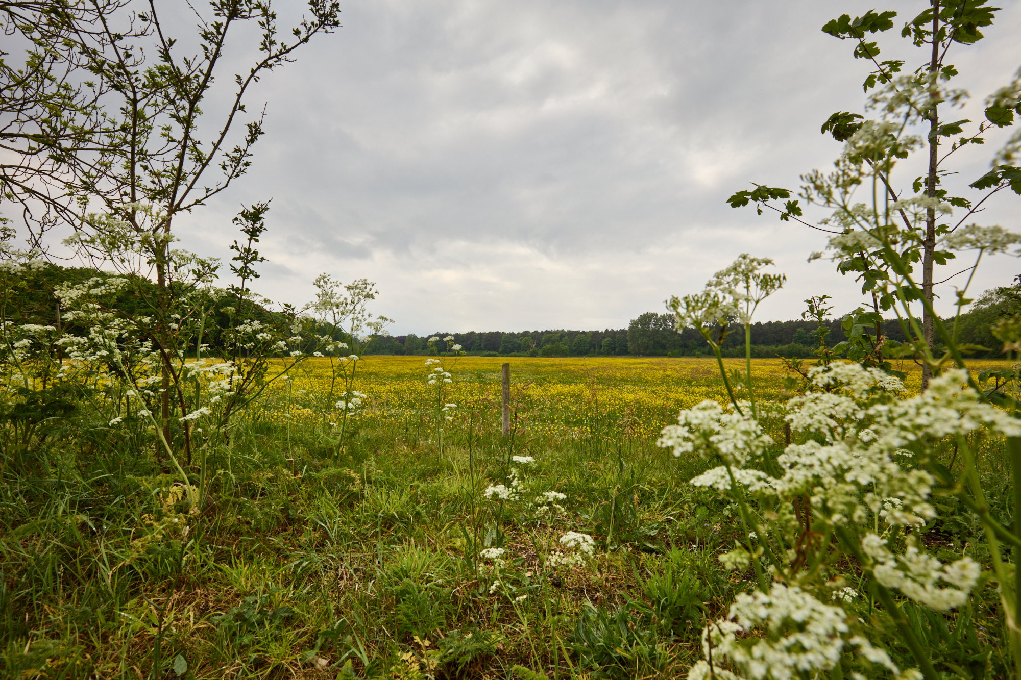 Nature house in Castricum
