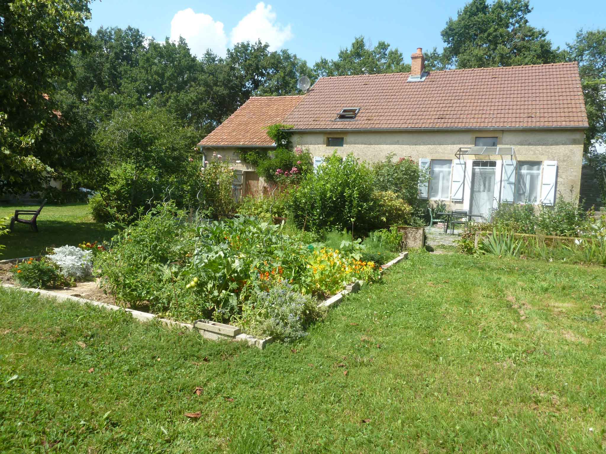 - image: 20