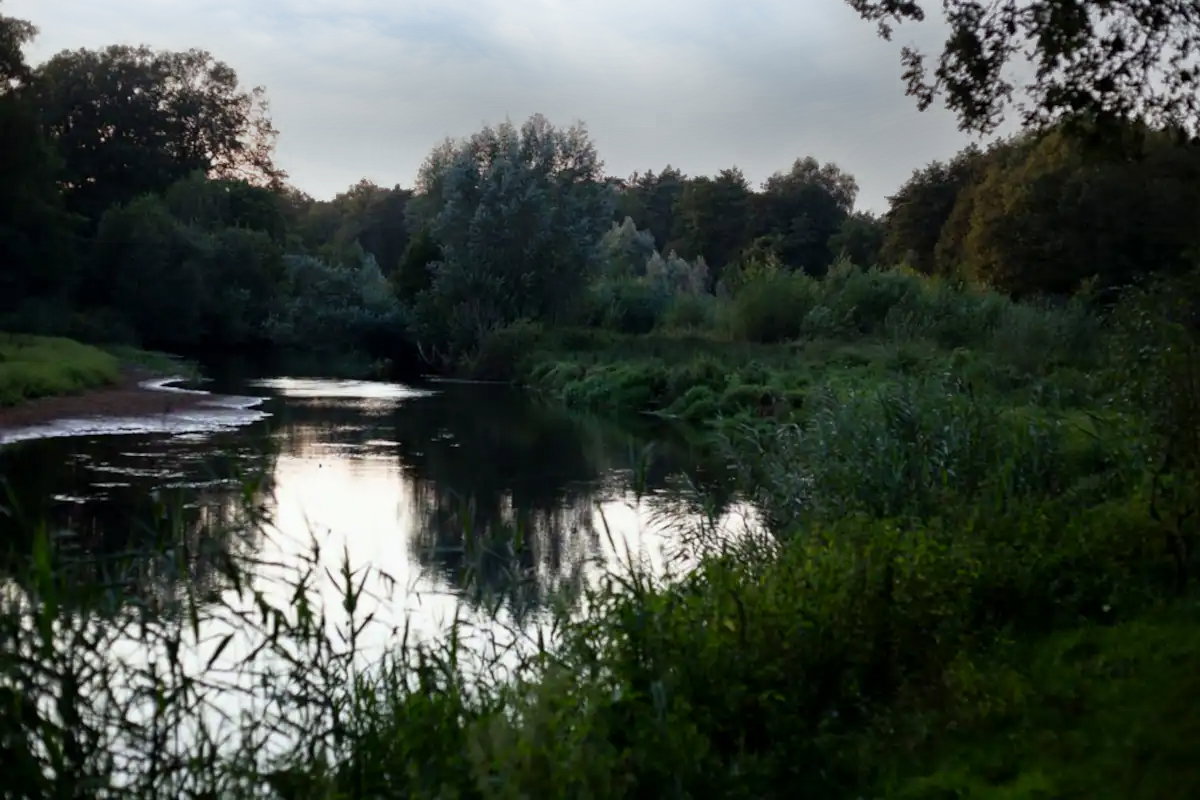 - image: 13