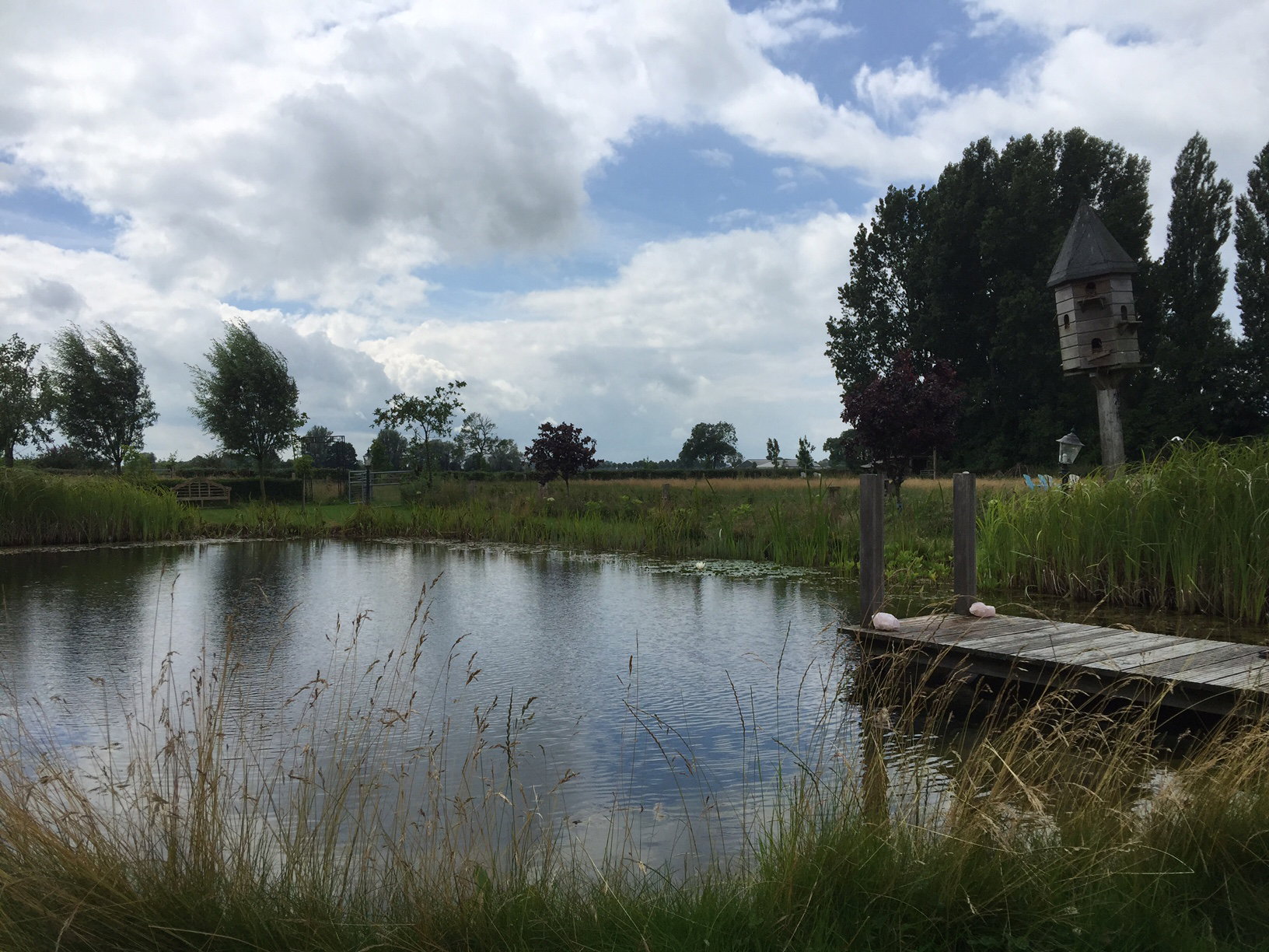 Maison nature à Toldijk