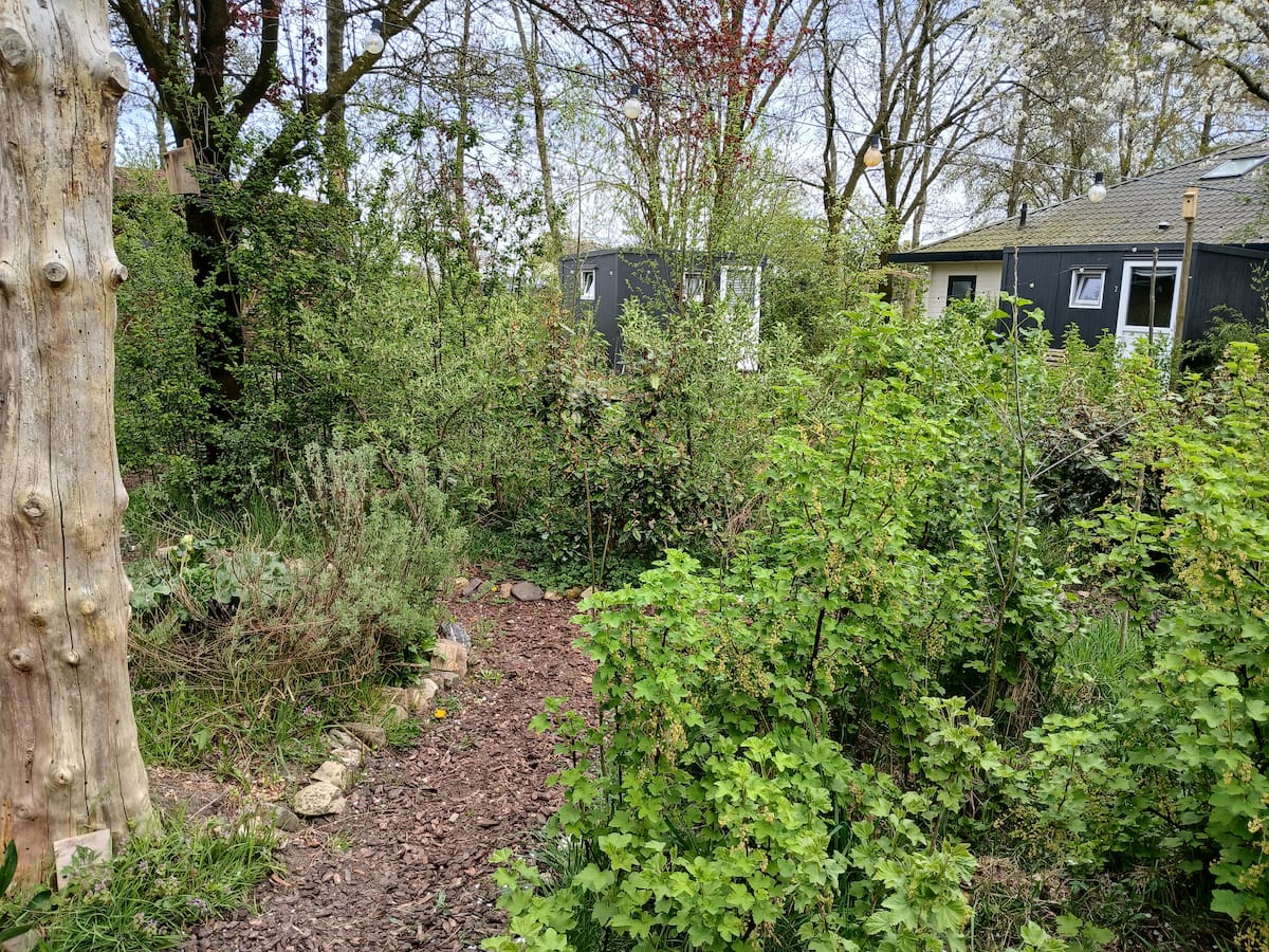Casa nella natura a Lunteren
