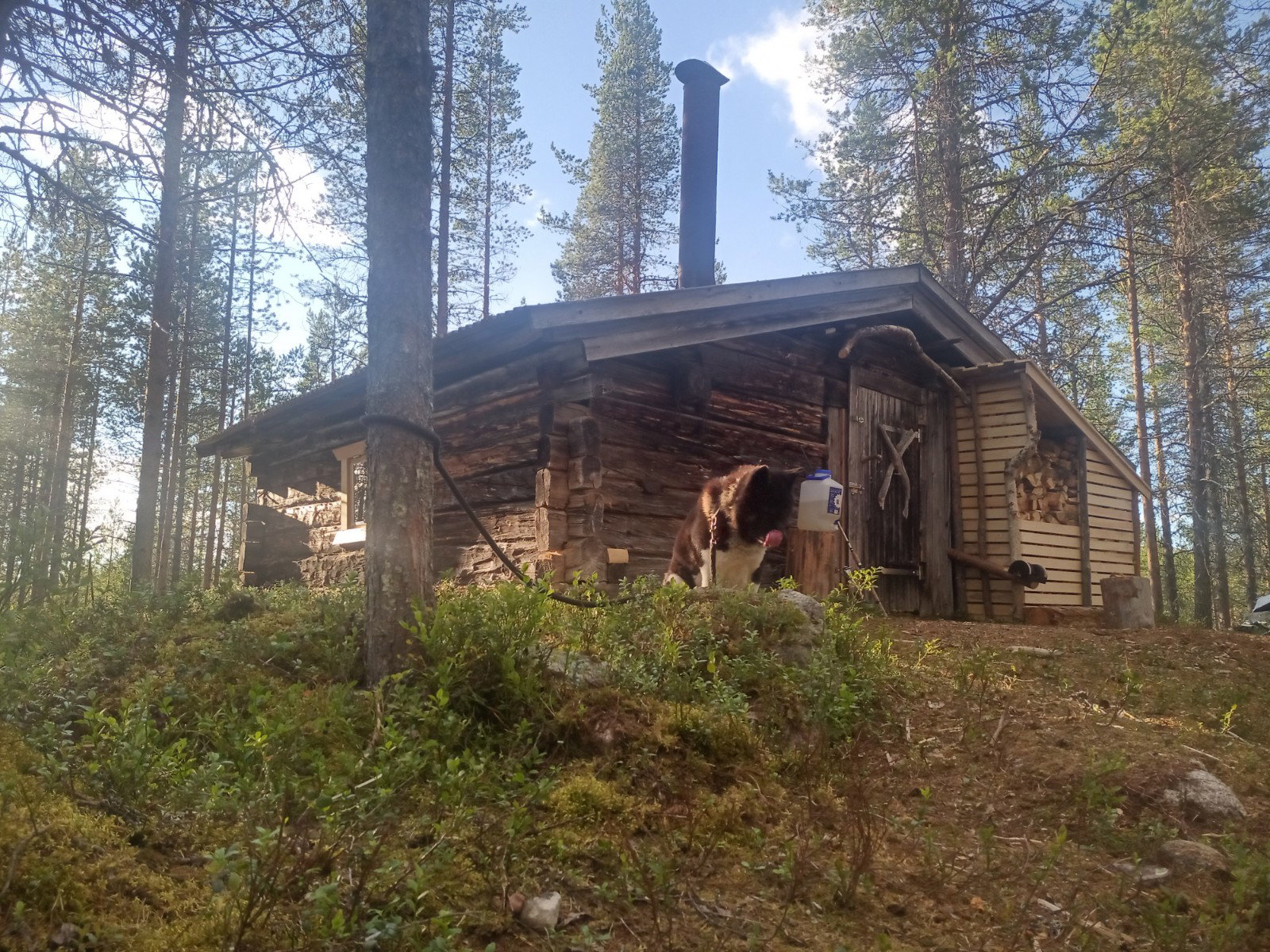Maison nature à Arjeplog