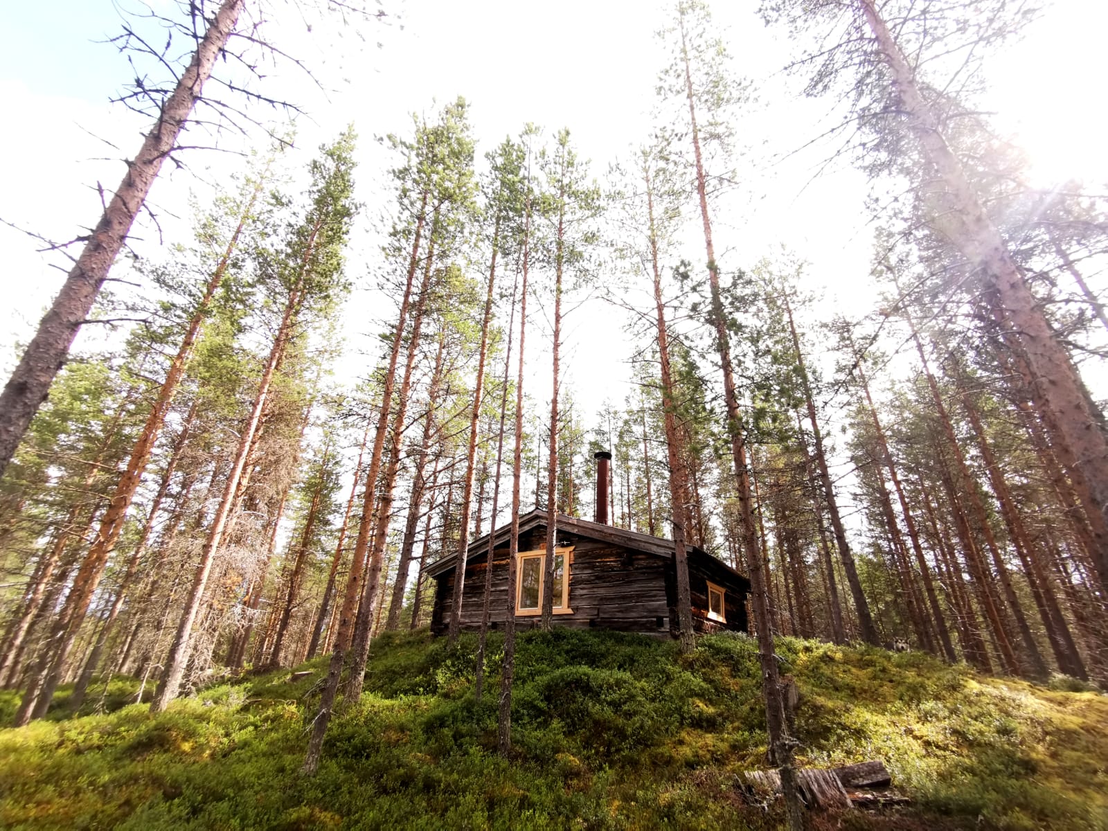 Maison nature à Arjeplog