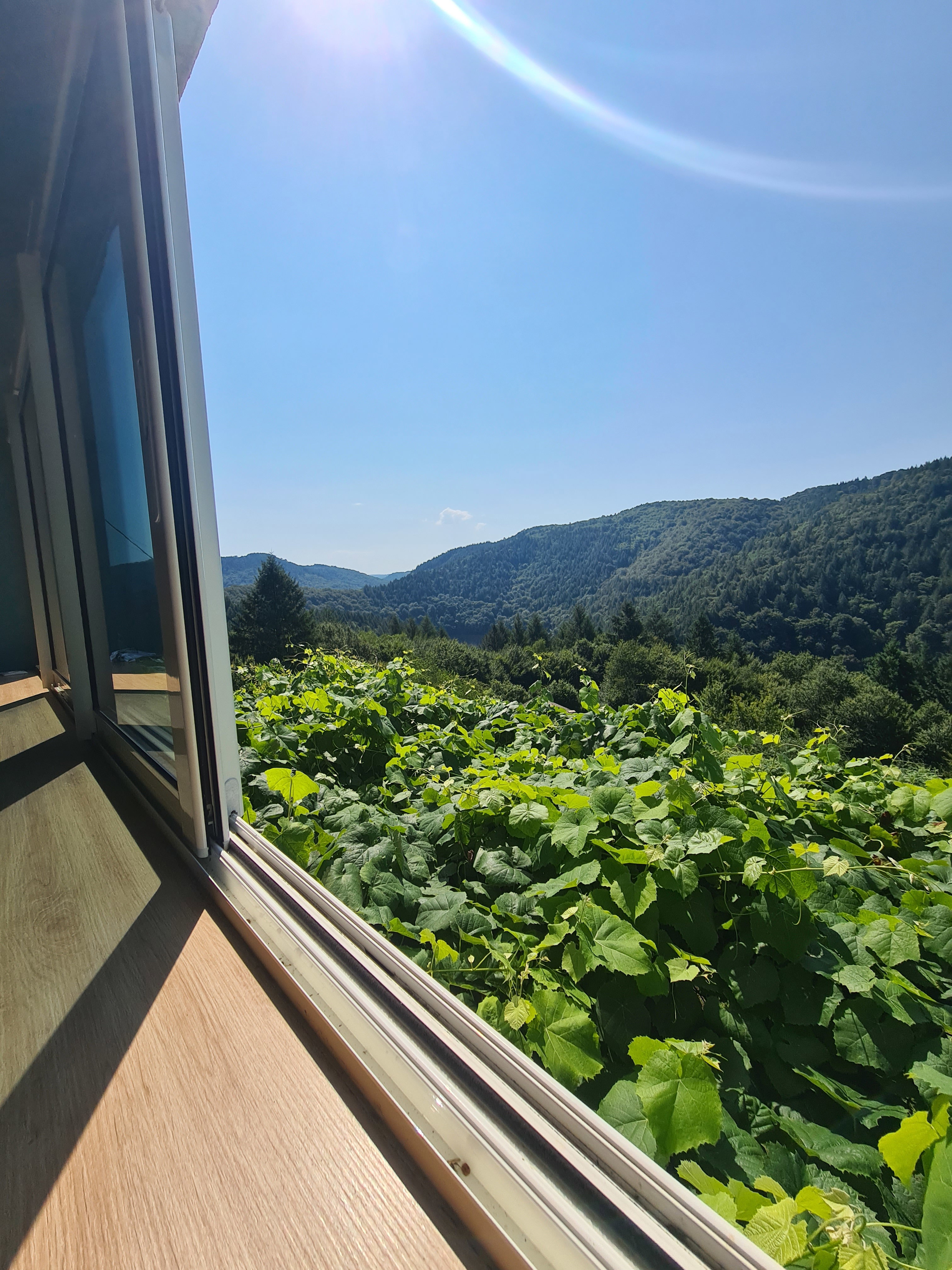 Casa nella natura a HAUTEFAGE ARGENTAT