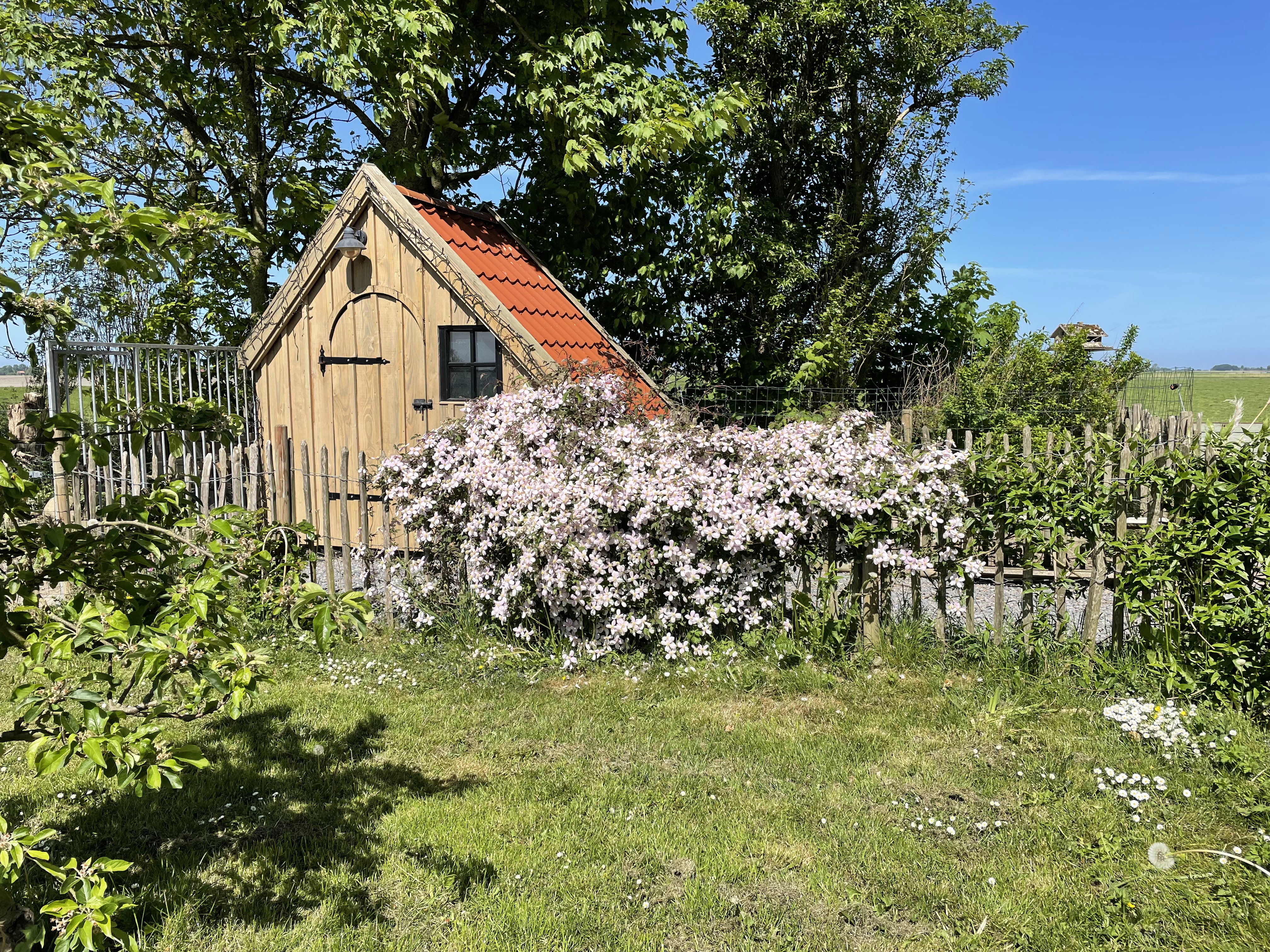 - image: 26