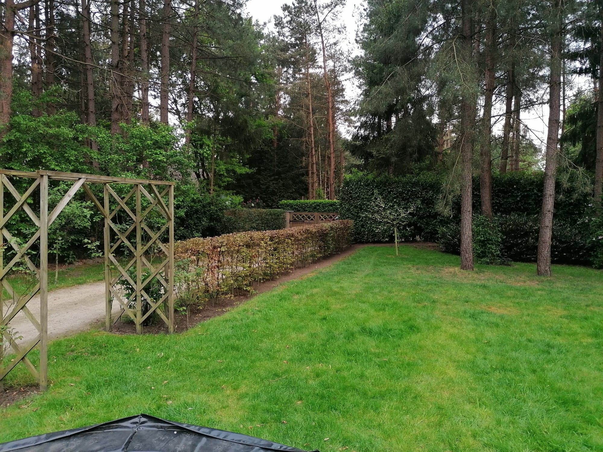 - image: 38