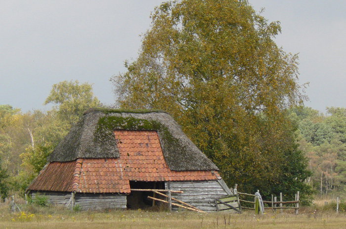 - image: 42