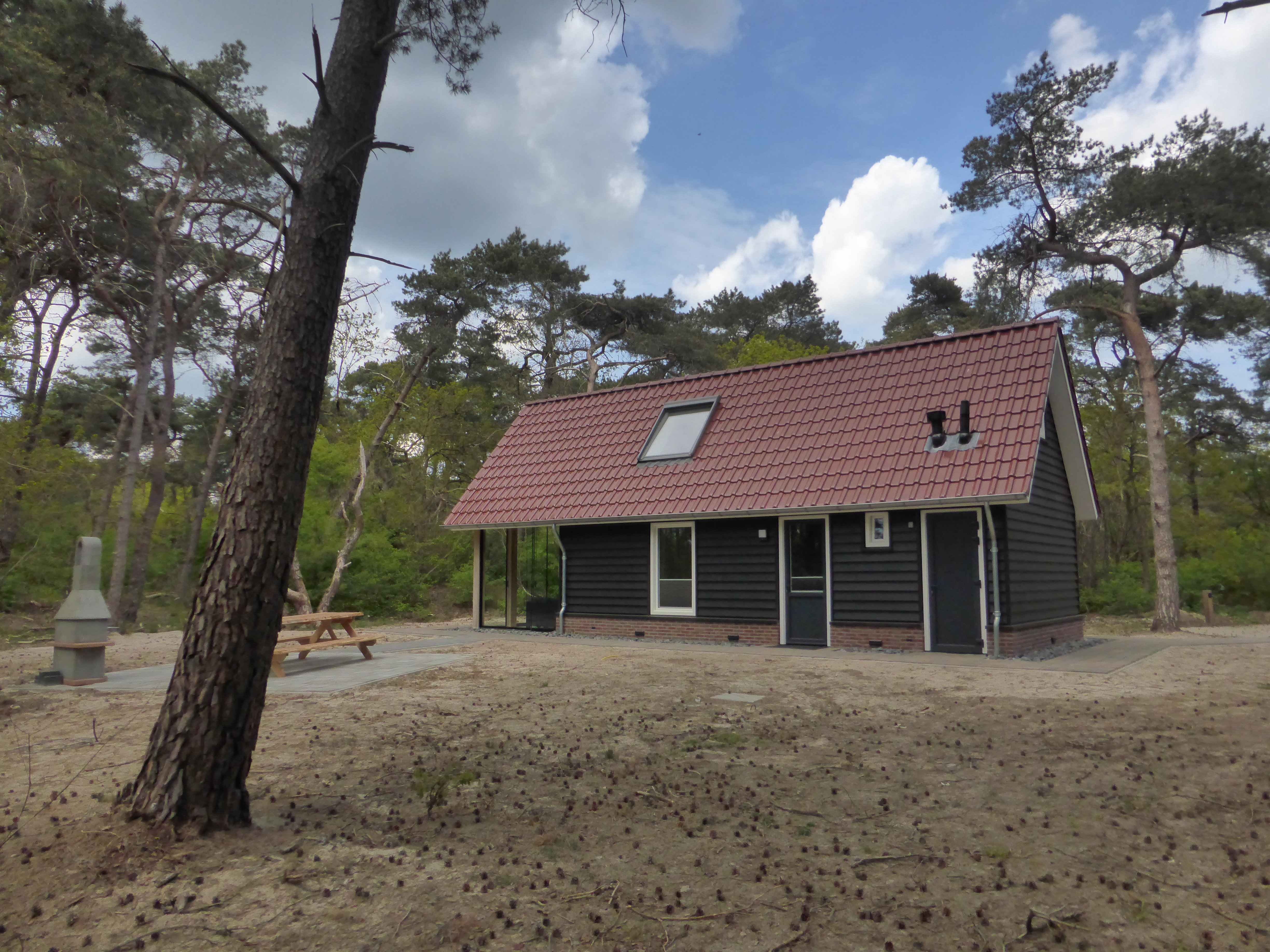 Natuurhuisje in Beerze