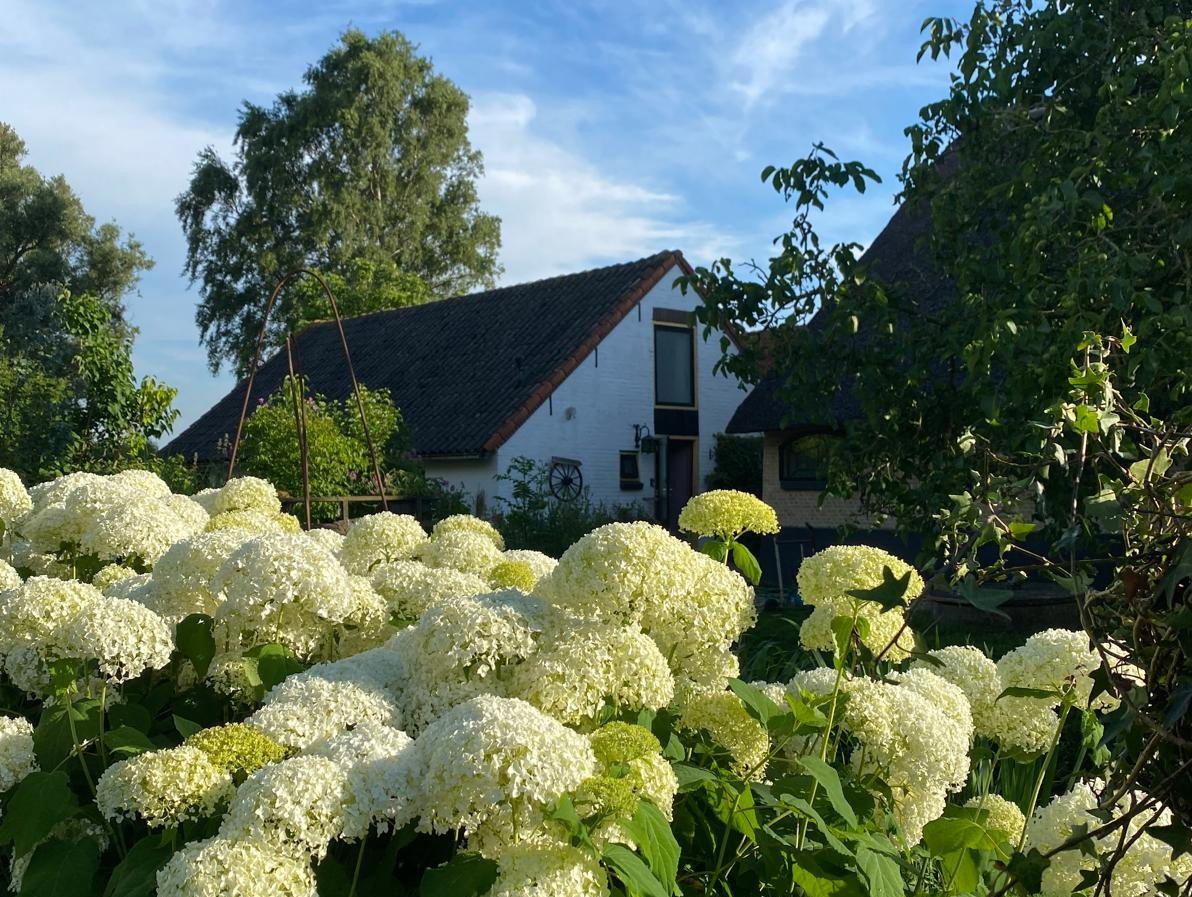 Casa nella natura a Stolwijk