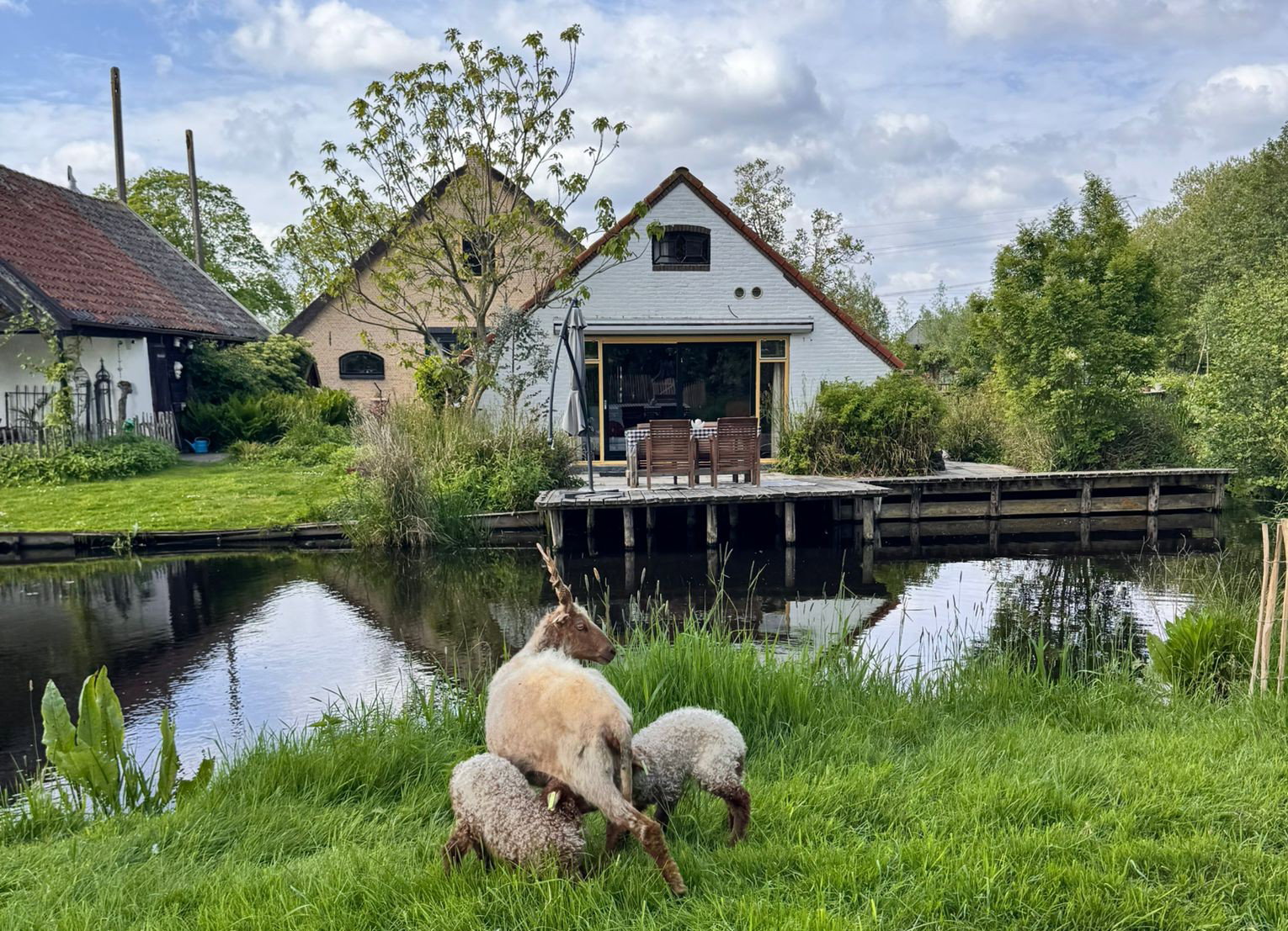 Casa nella natura a Stolwijk