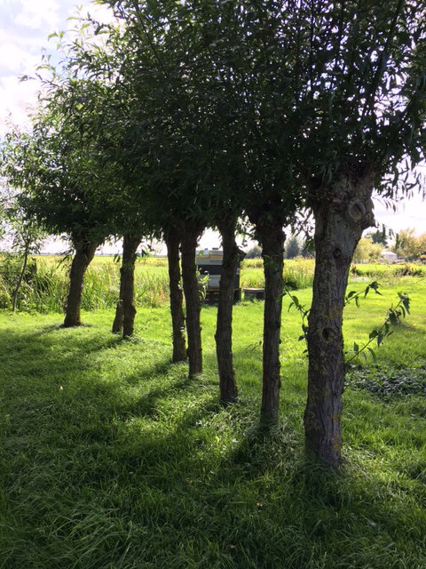 Casa nella natura a Stolwijk