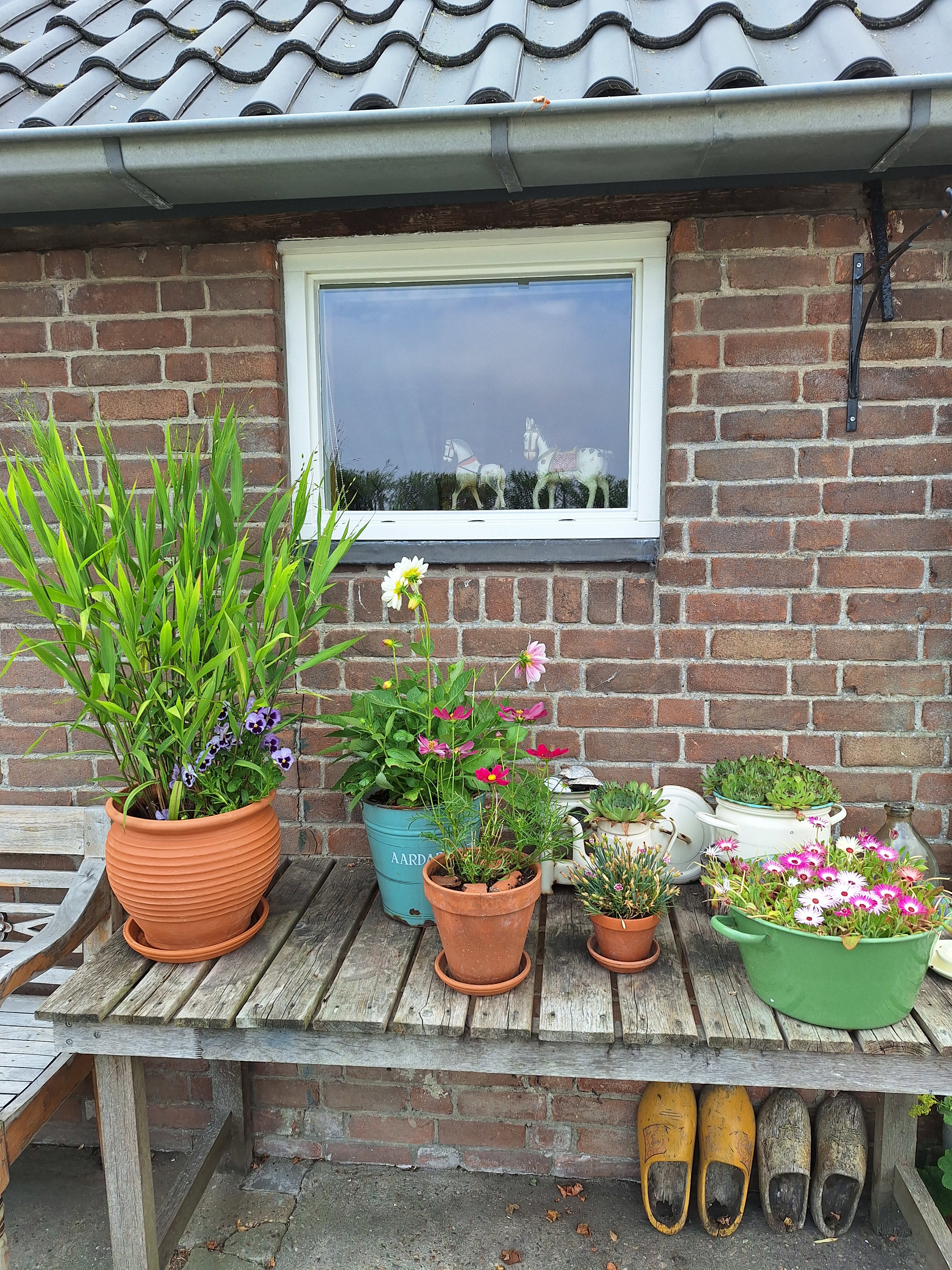 Natuurhuisje in Arnemuiden