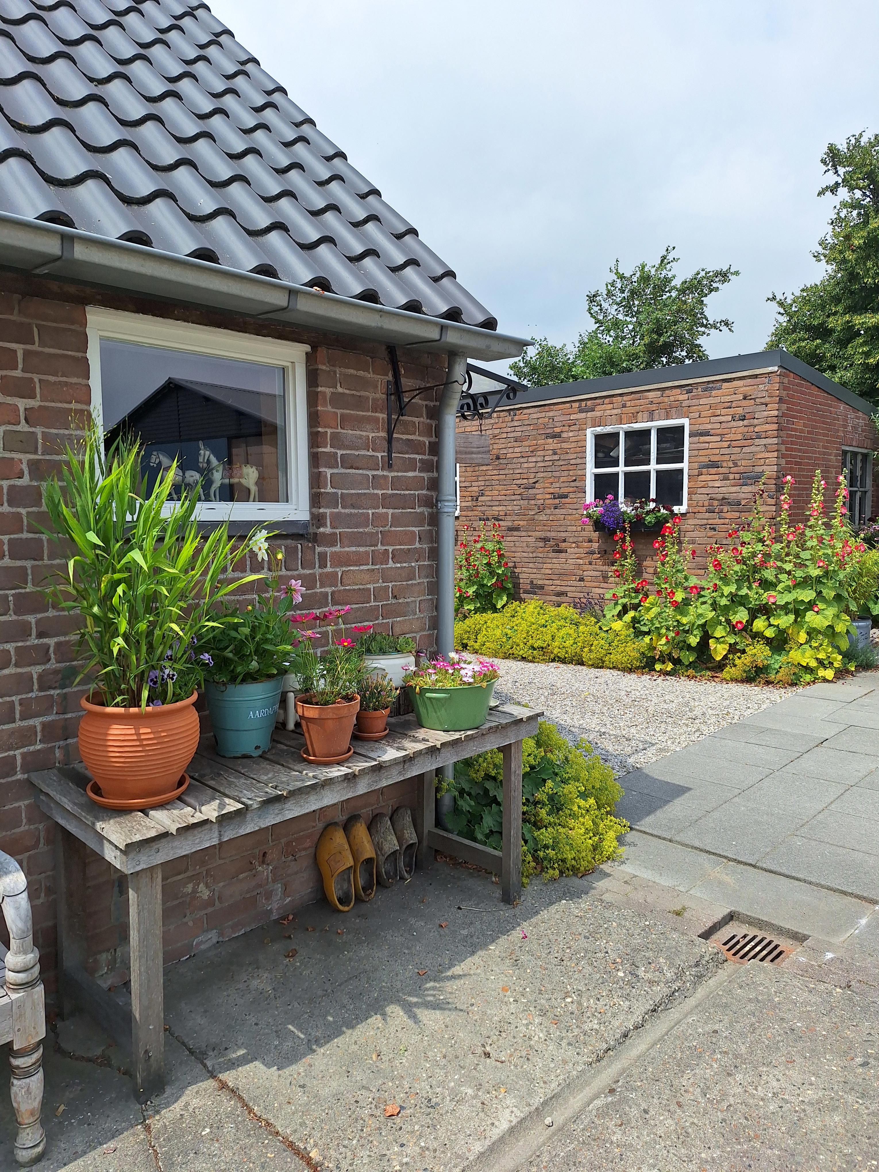 Nature house in Arnemuiden