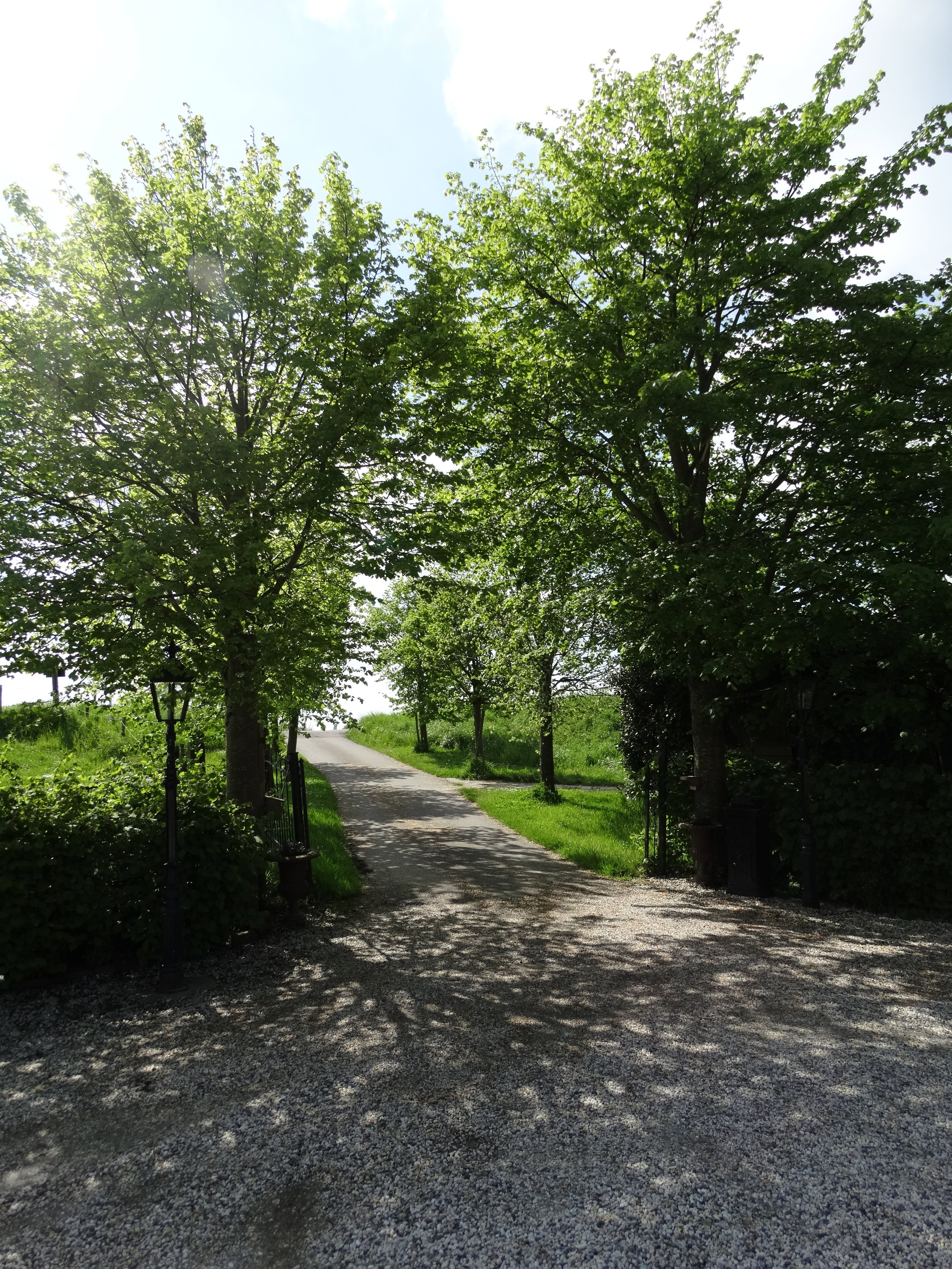 - image: 12