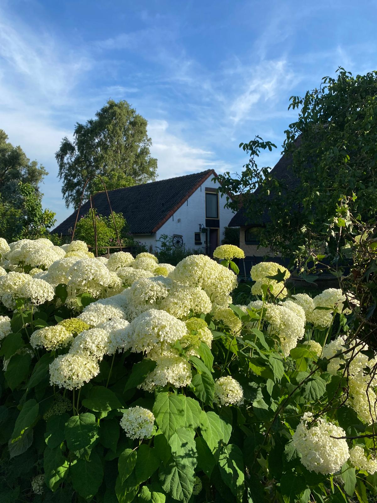 Natuurhuisje in Stolwijk