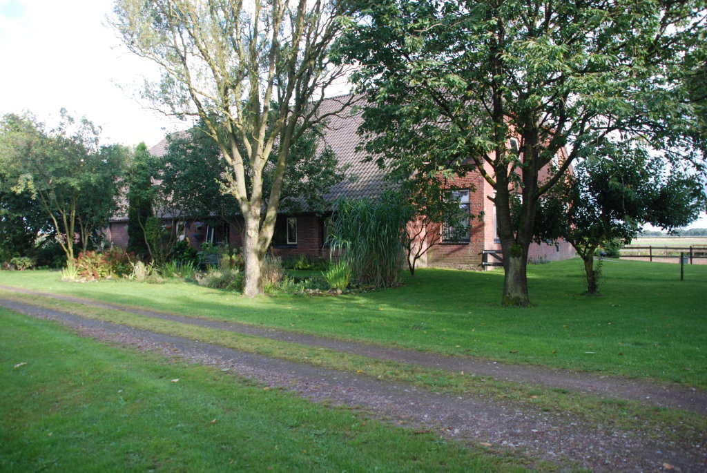 Naturhäuschen in Vledderveen