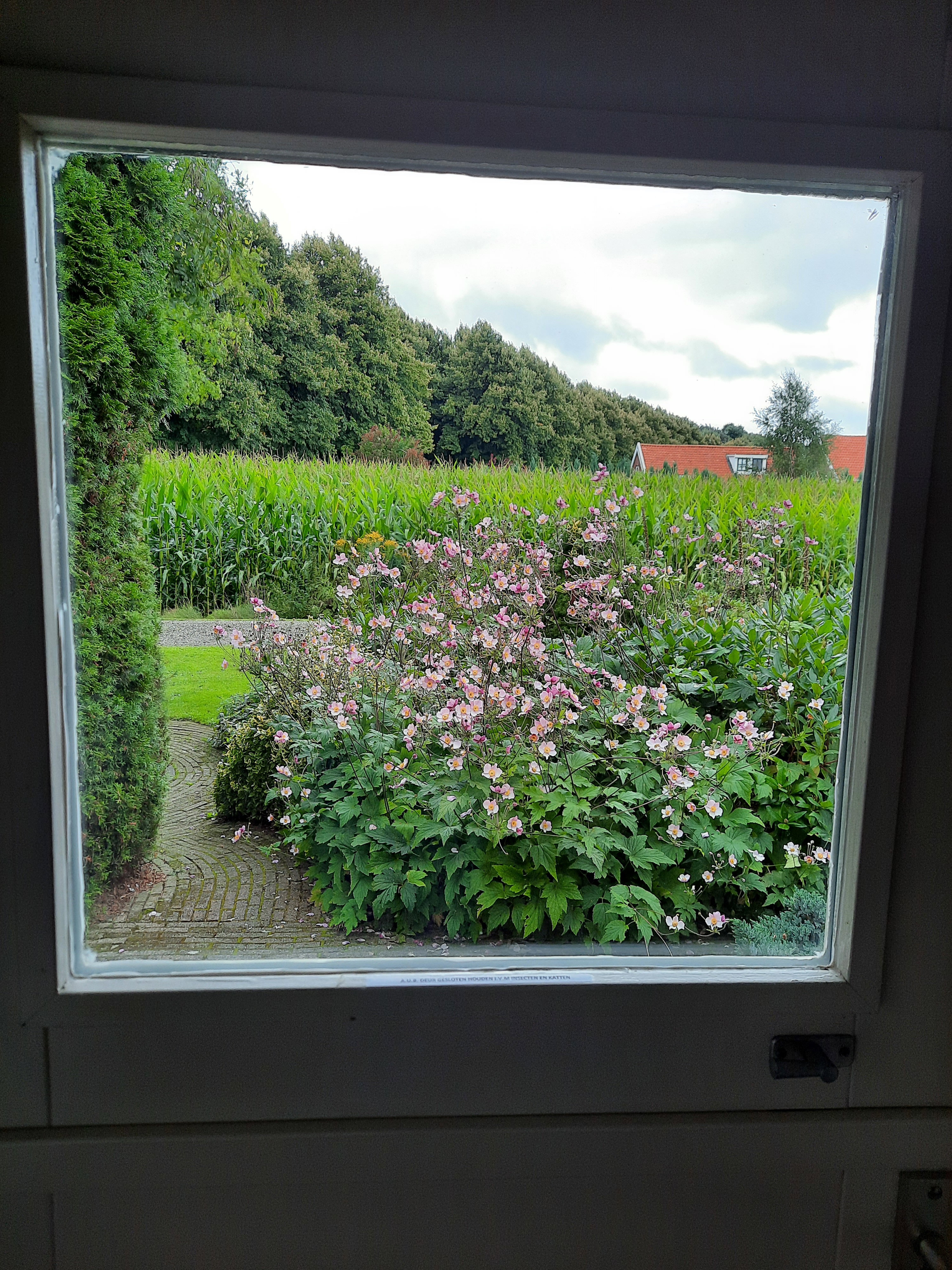 Natuurhuisje in Vledderveen