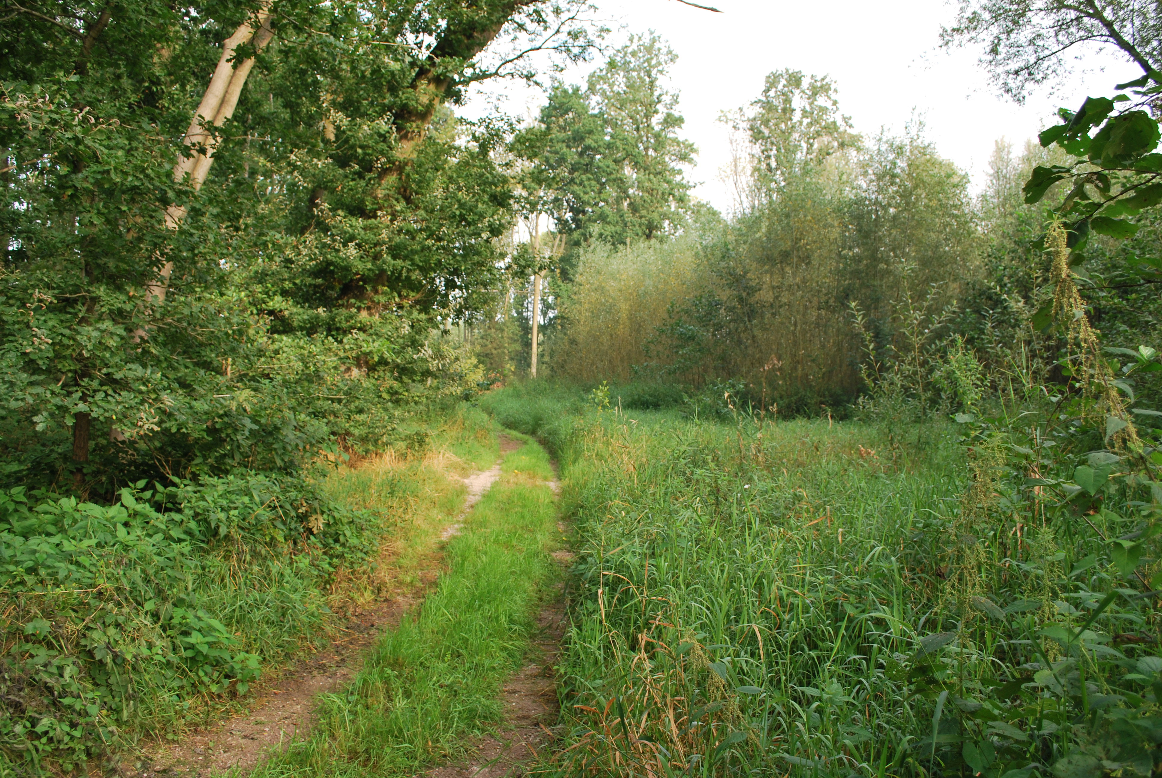 - image: 17