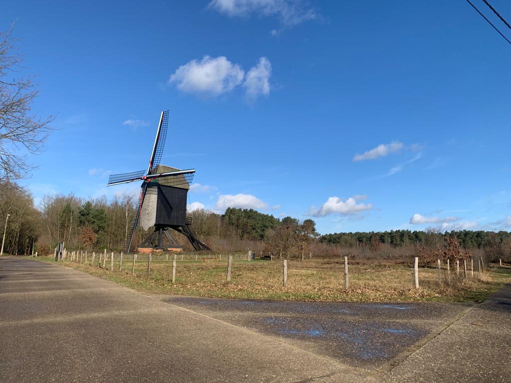 - image: 26