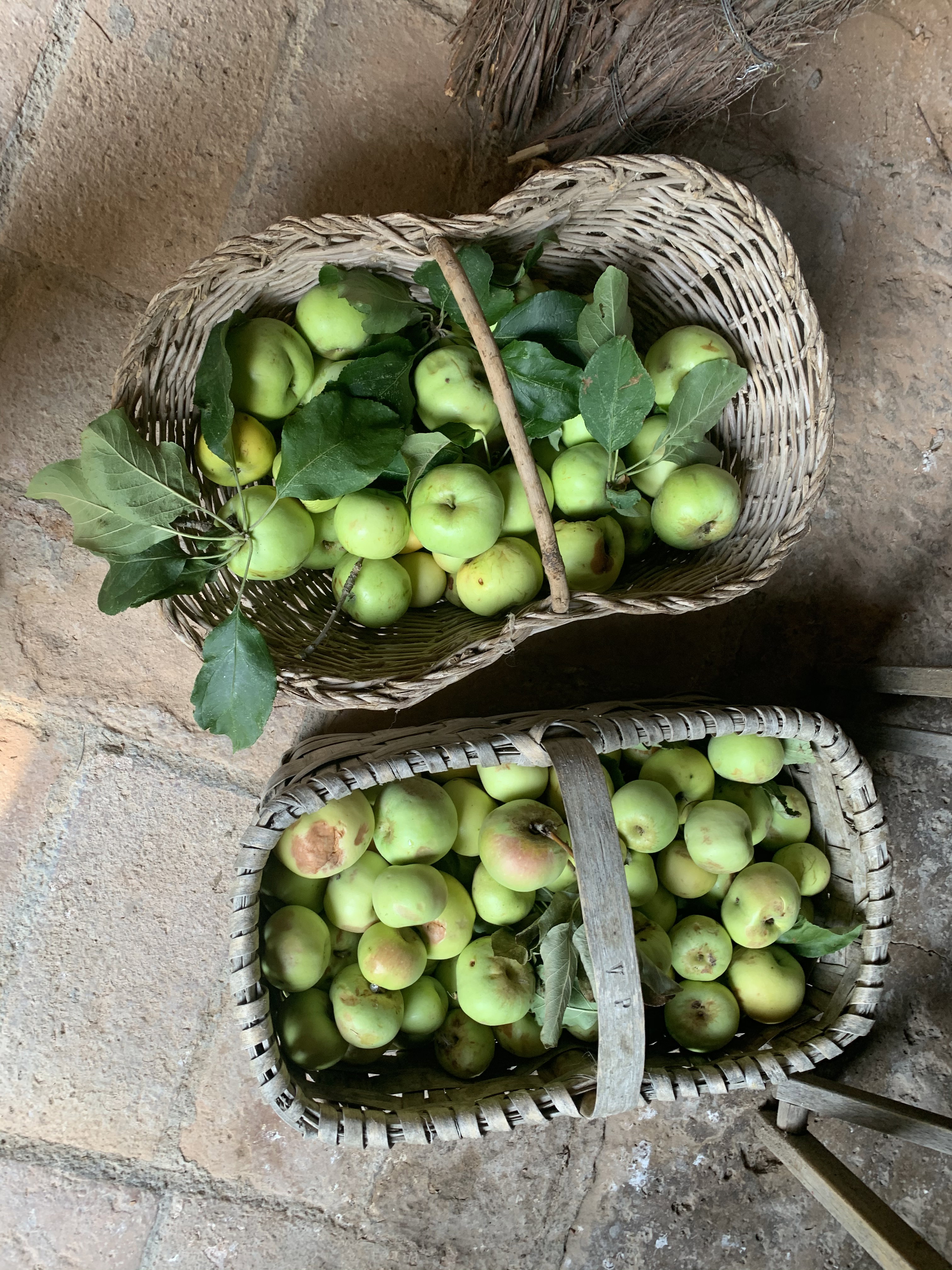 Naturhäuschen in Podere Capannacce