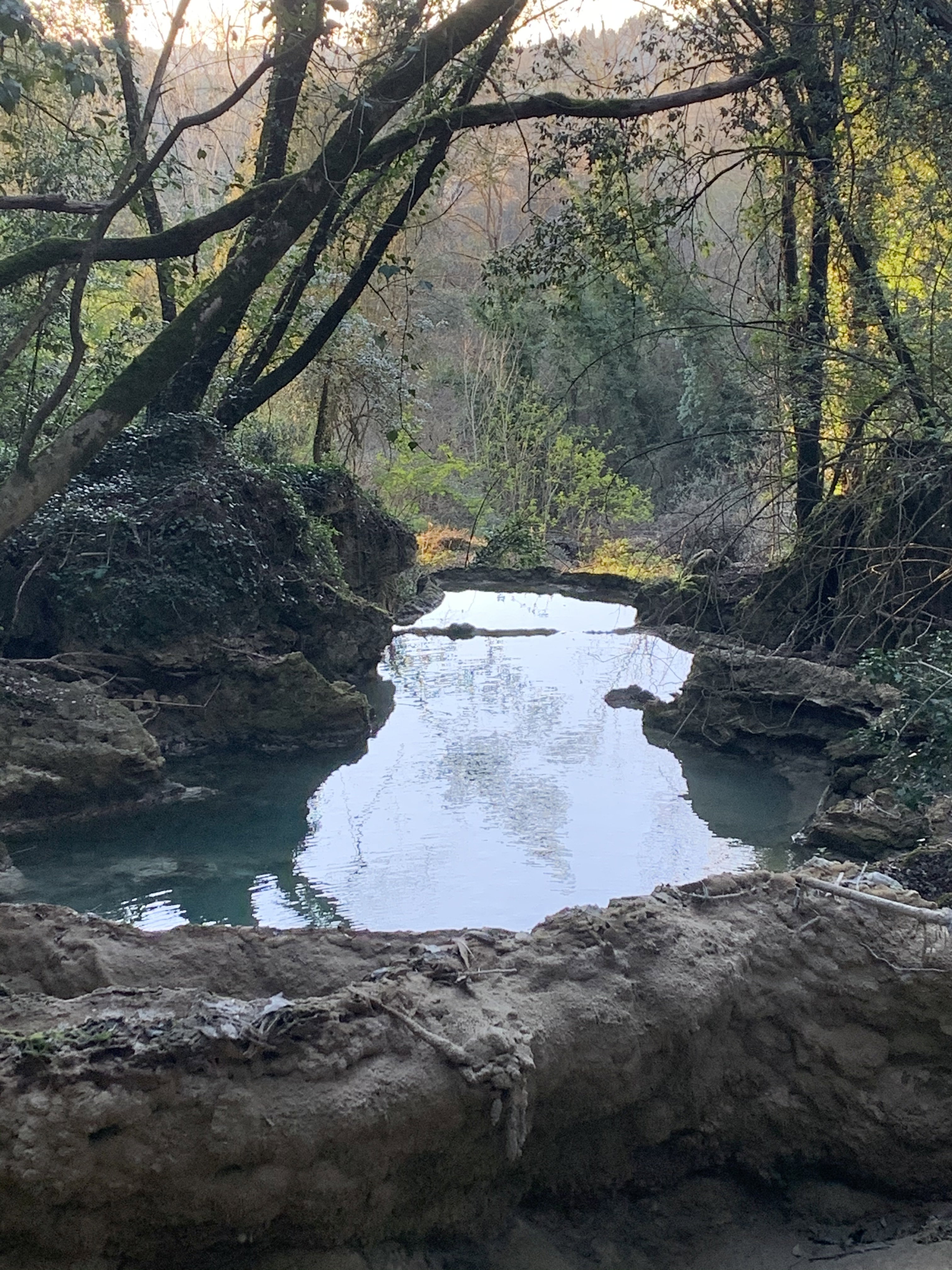 Naturhäuschen in Podere Capannacce