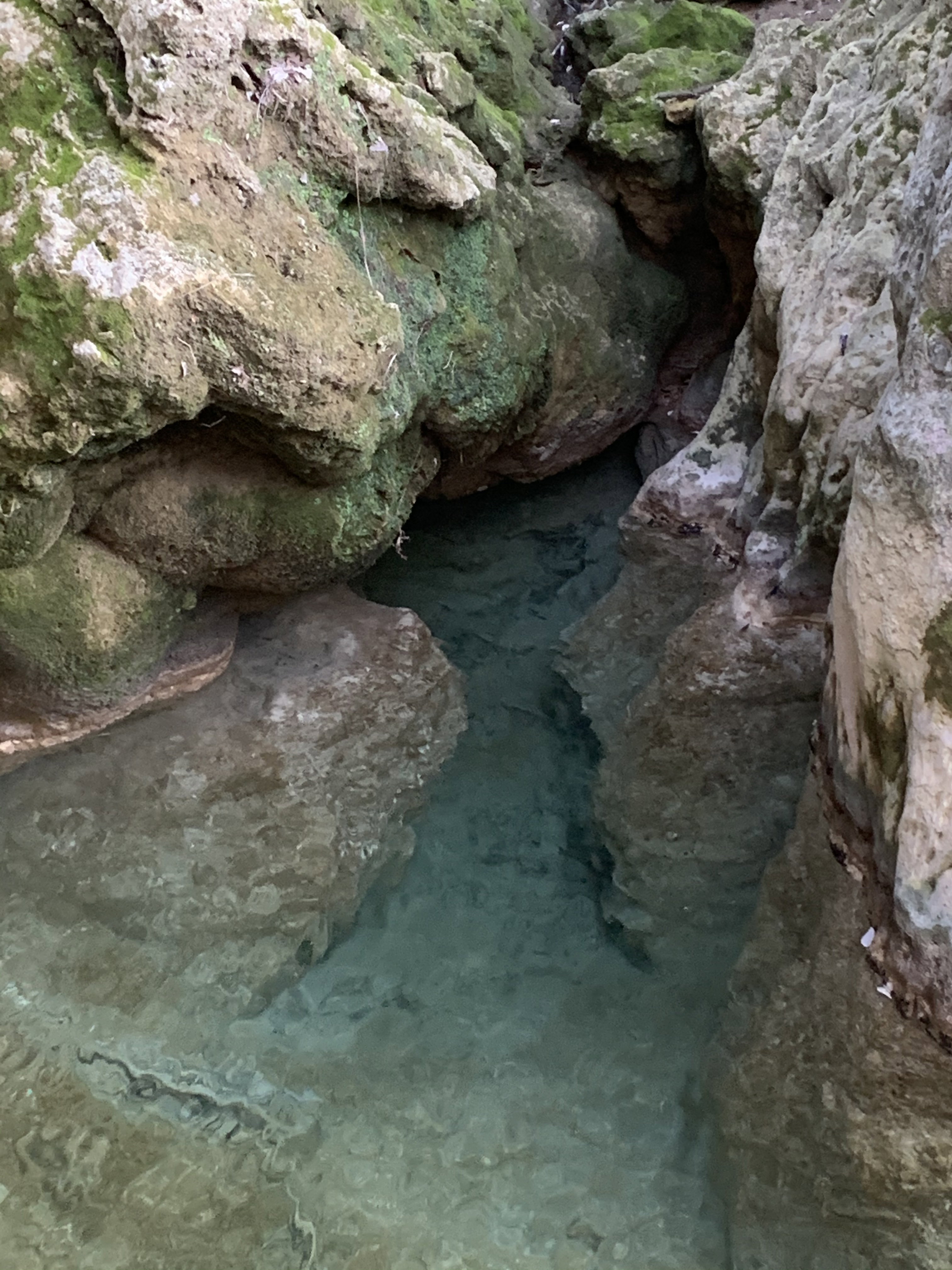 Naturhäuschen in Podere Capannacce