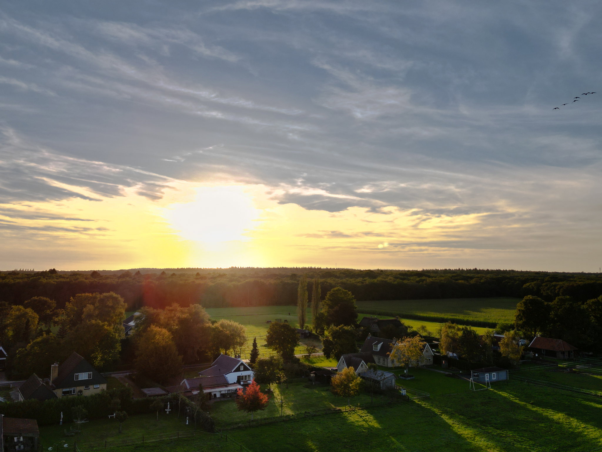 Naturhäuschen in Nijemirdum