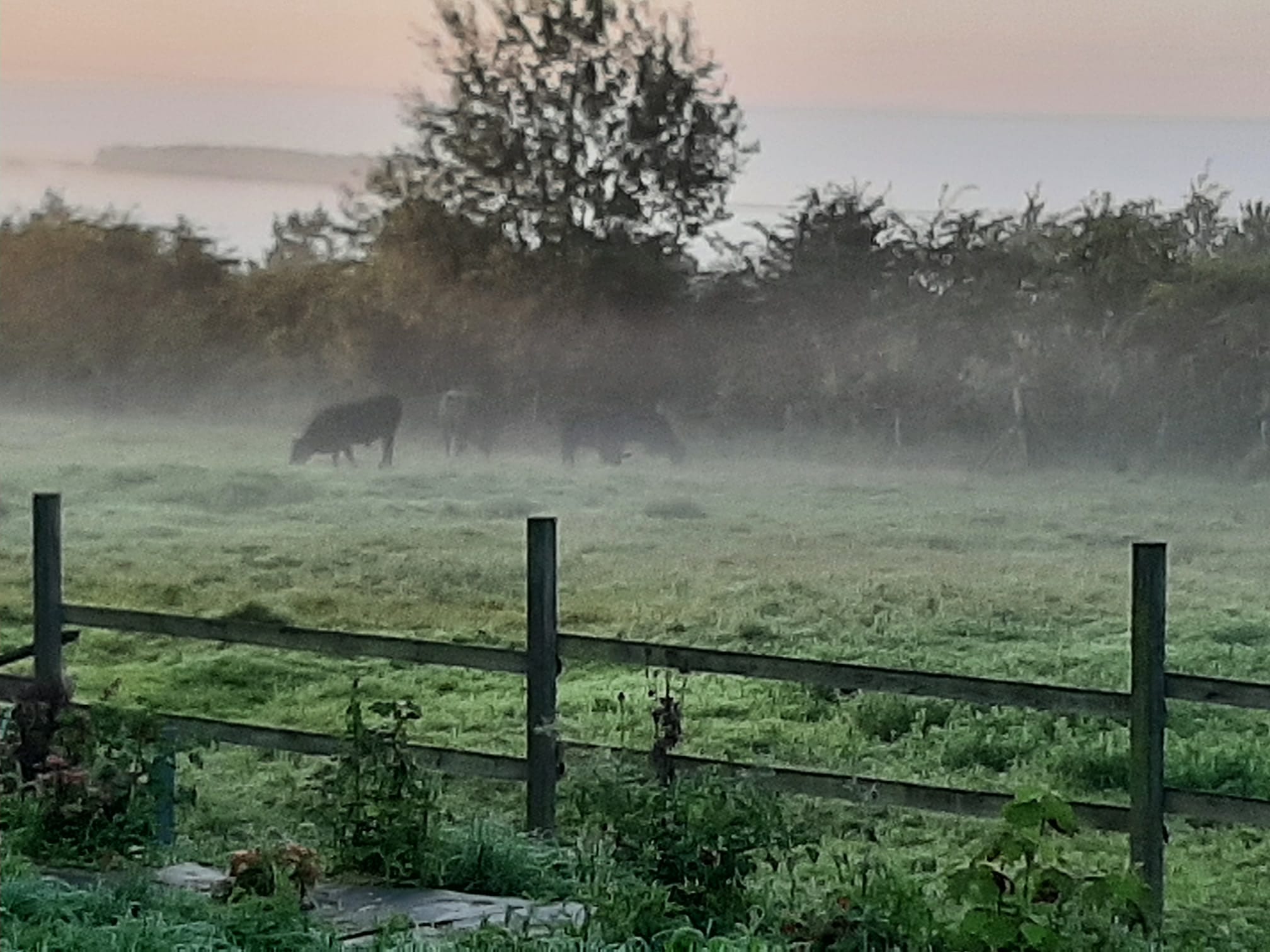 Naturhäuschen in Varennes en croix