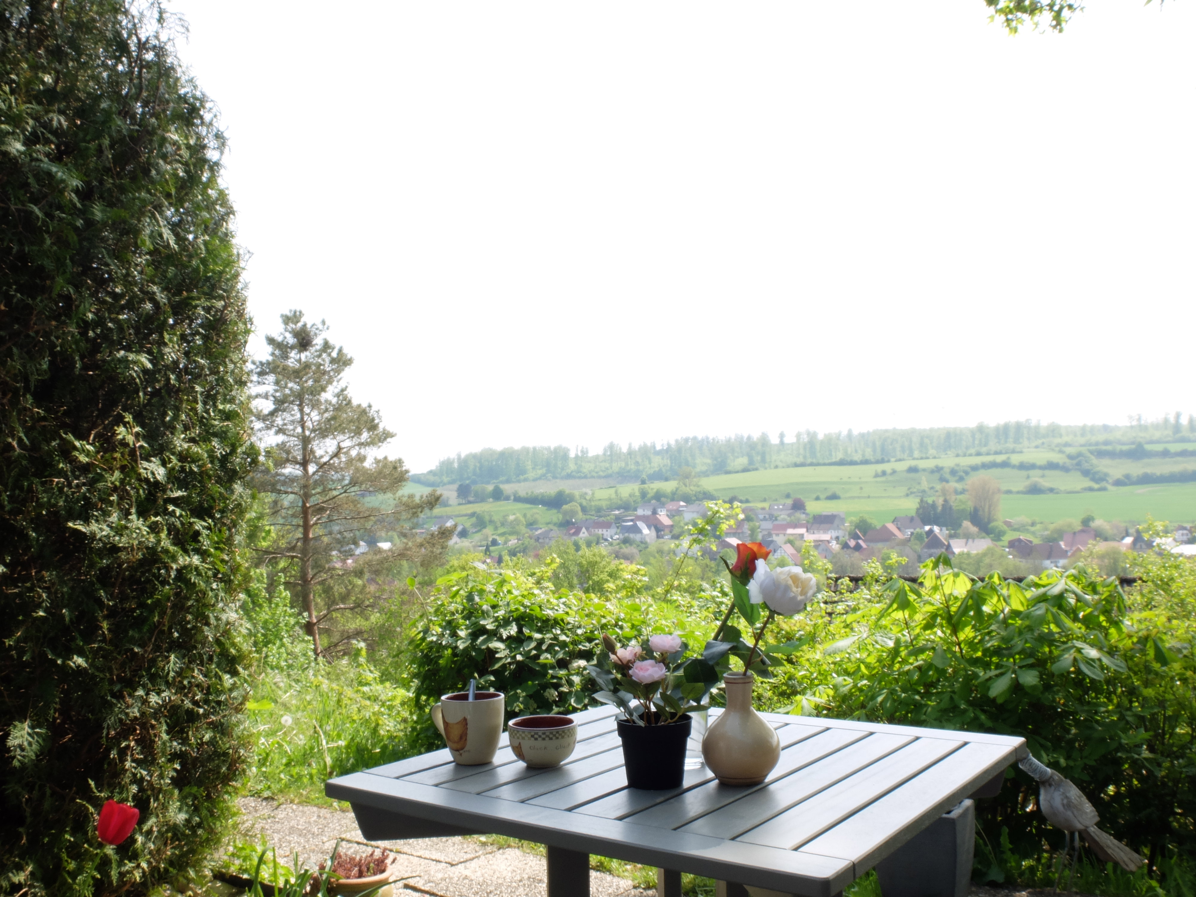 Natuurhuisje in Sauerland, Lichtenau-Husen