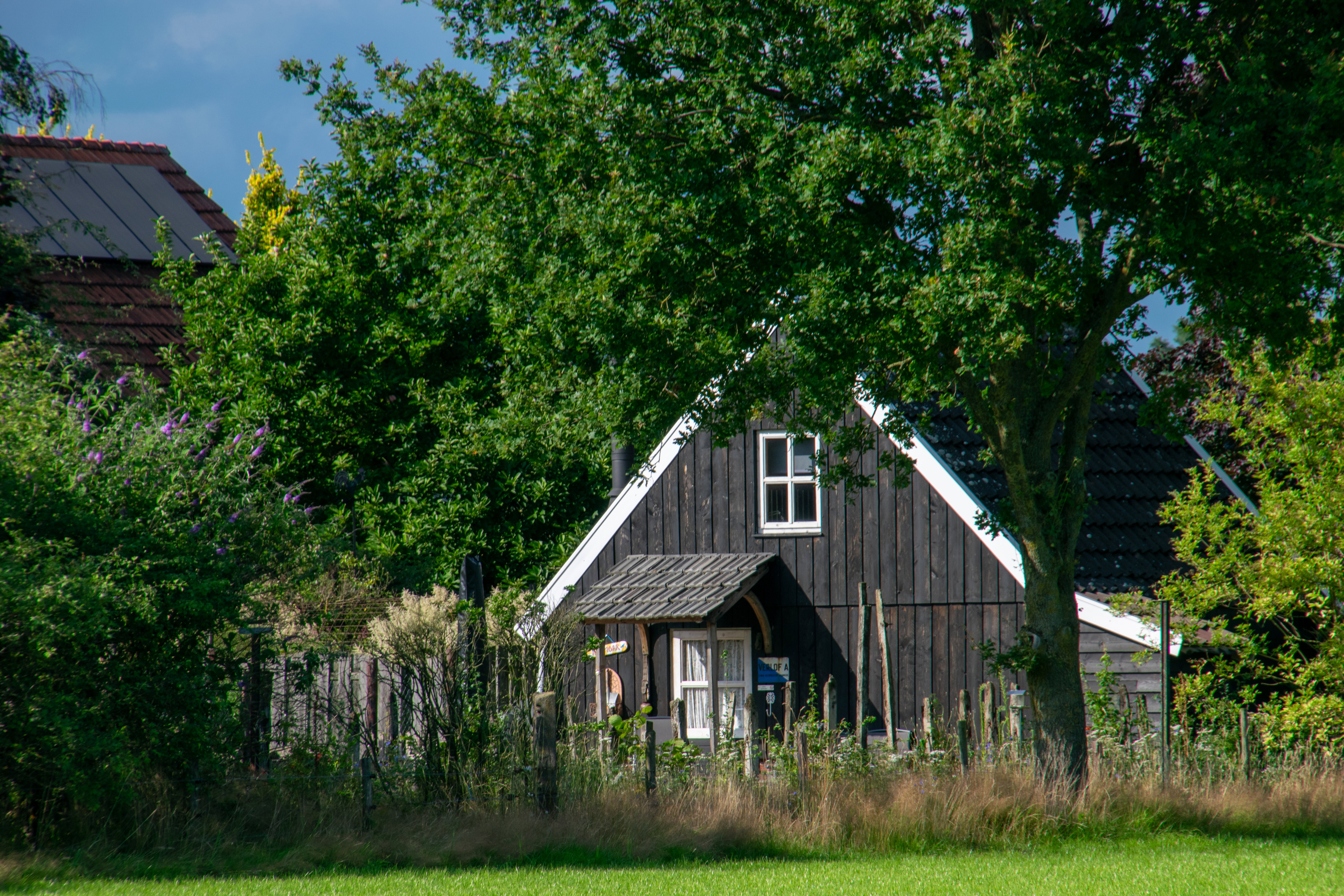 - image: 48
