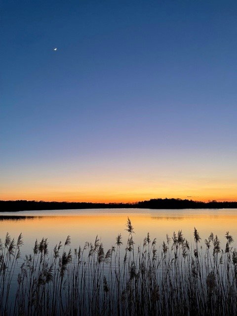 Natuurhuisje in Breda