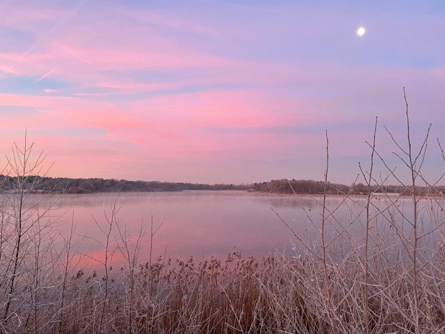 - image: 18